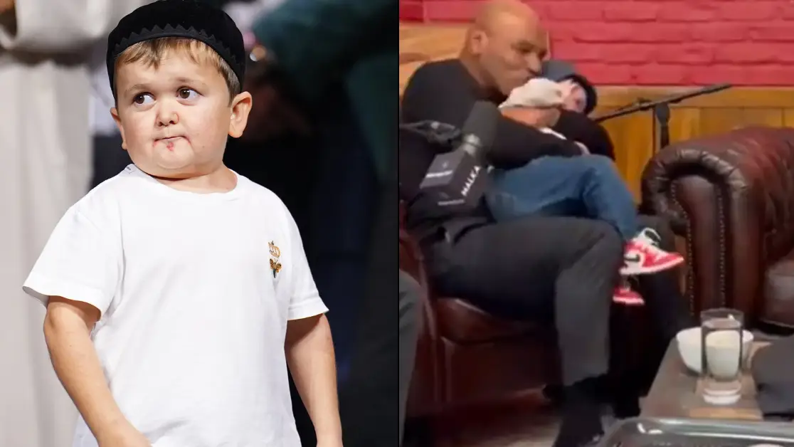 Chris Unger/Zuffa LLC/Getty Images/YouTube/HotboxinwithMikeTyson