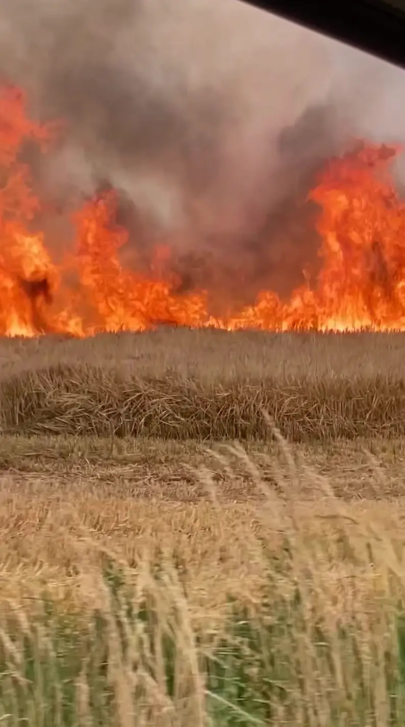 They said it felt like they were ‘stood by a bonfire’.