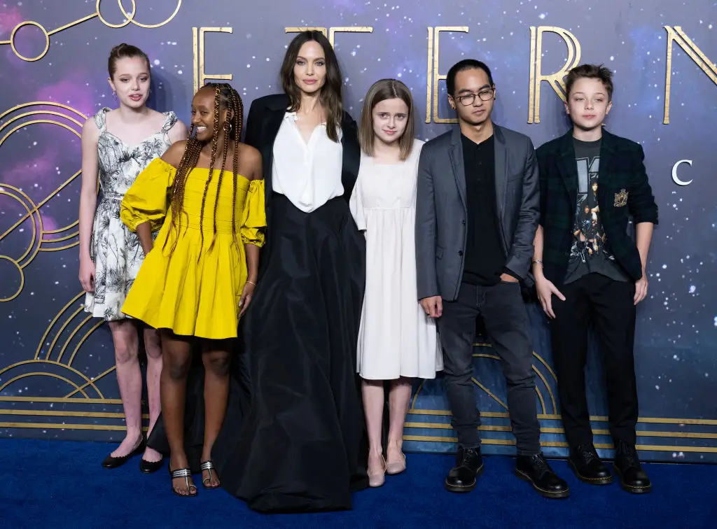 Jolie shares six children with ex husband Brad Pitt (Samir Hussein/WireImage)