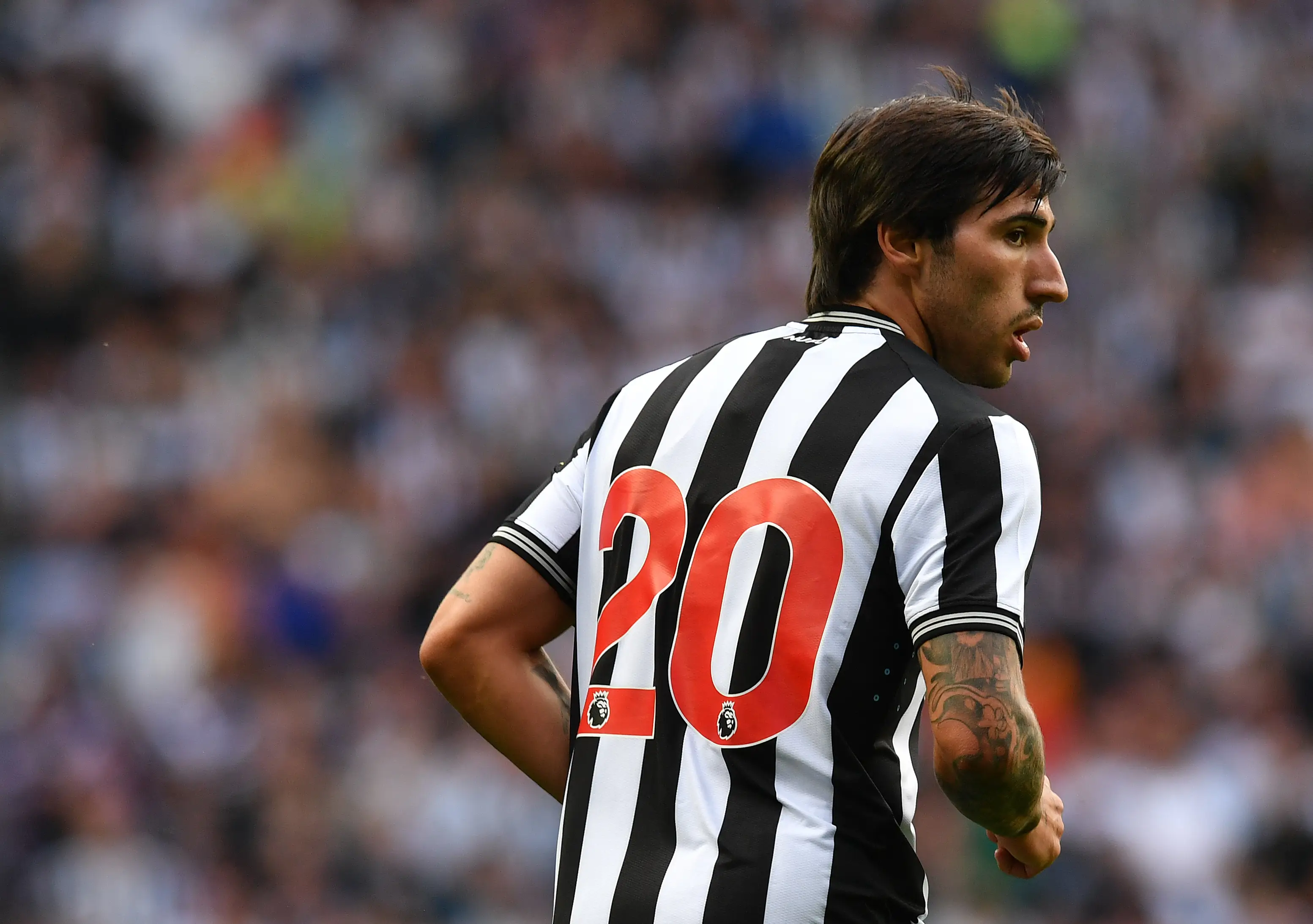 Sandro Tonali could play a key role for Newcastle in 2023/24. (Image: Getty)