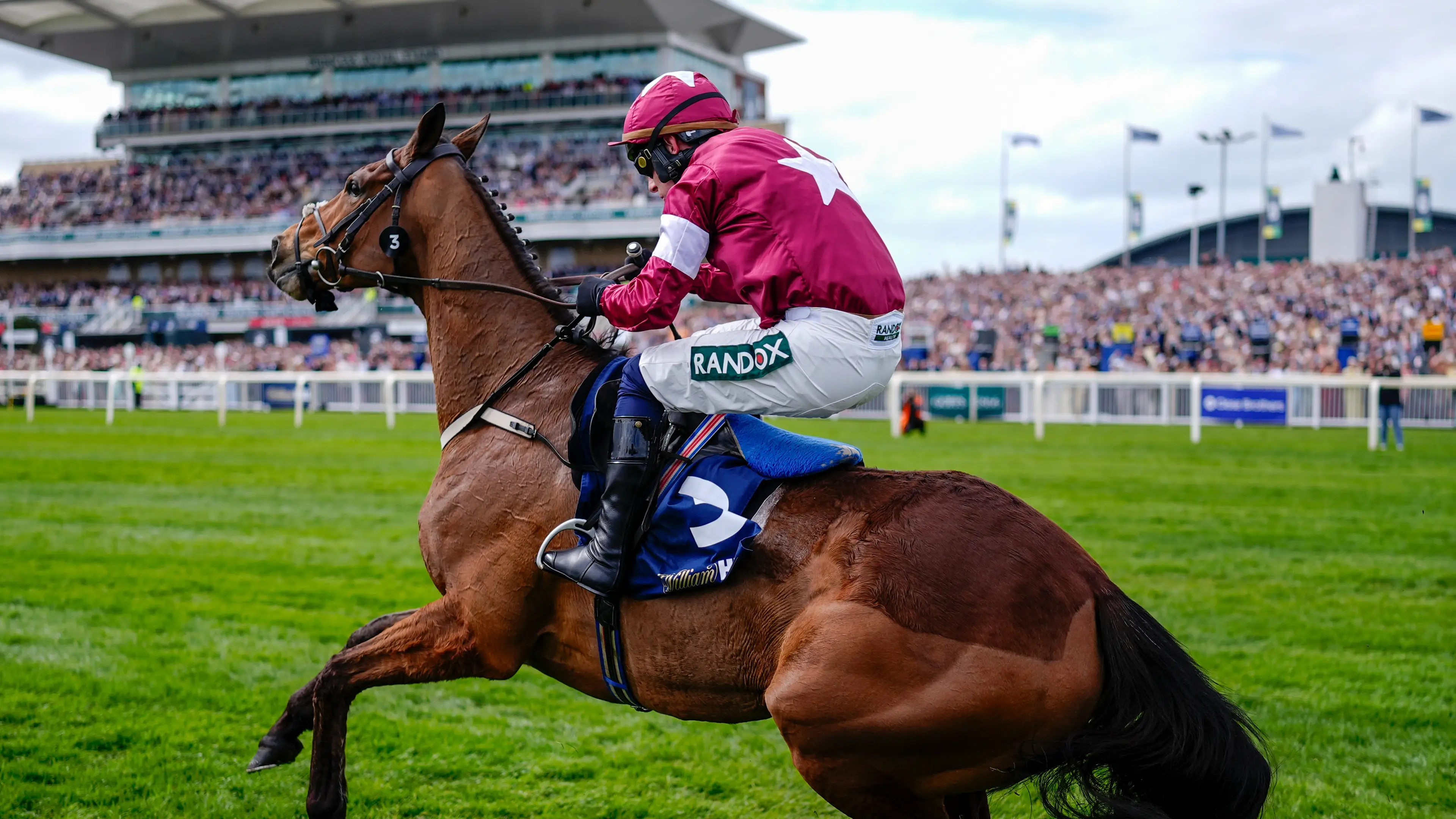 Grand National jockey explains why he continued to whip horse with broken back to finish line