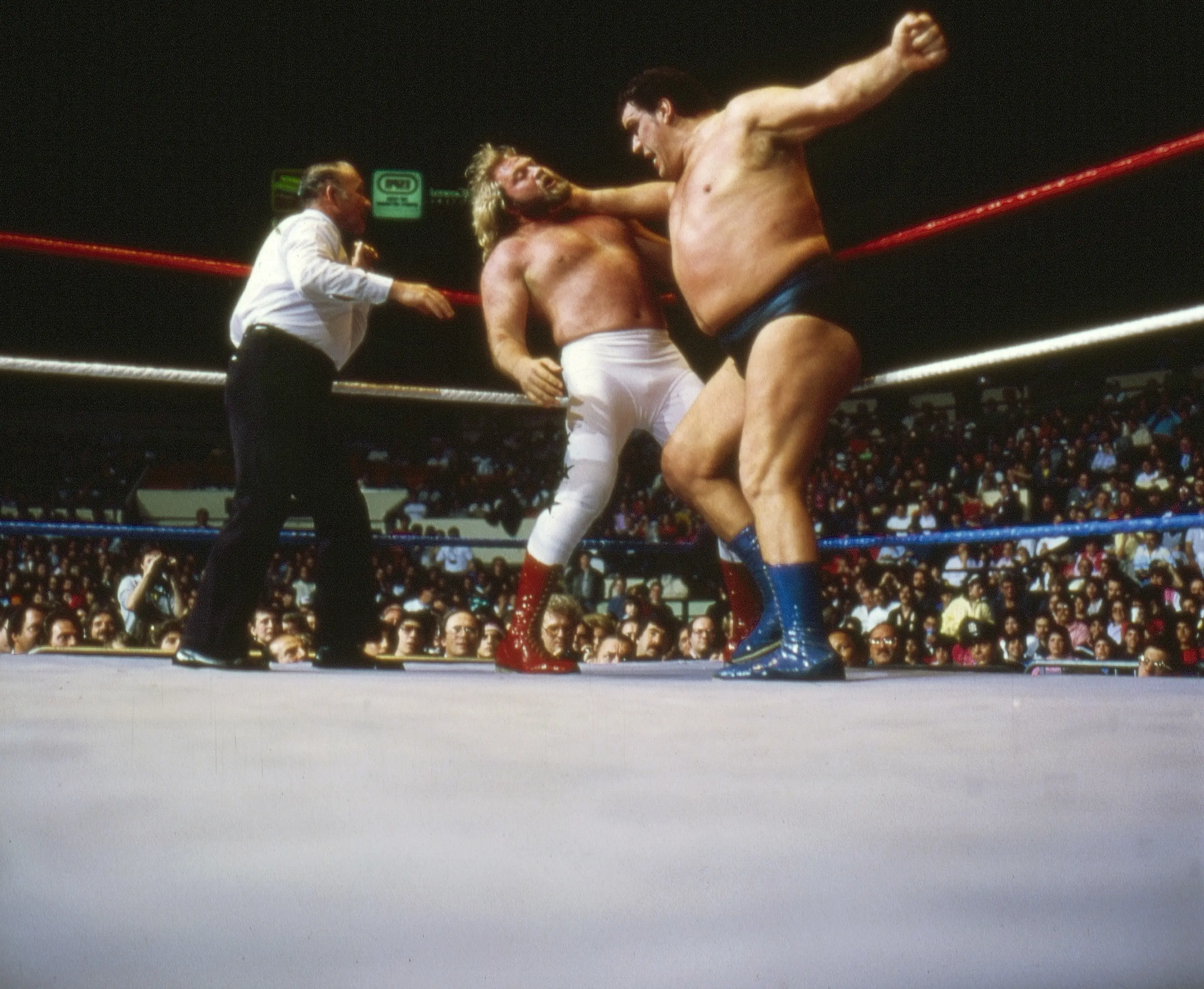 Andre the Giant was the definition of larger than life and could eat and drink like nobody else. Image: Getty