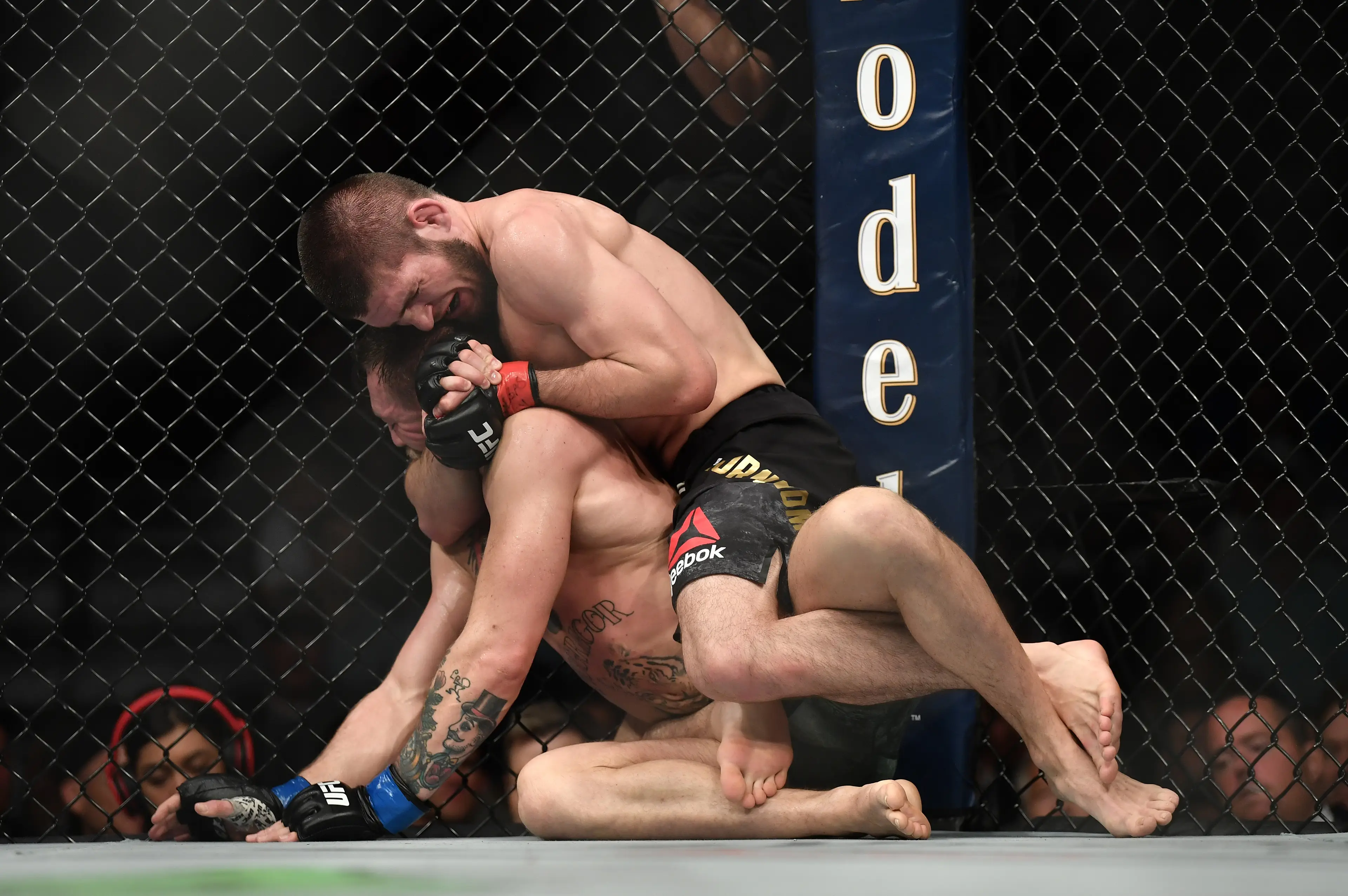 Khabib Nurmagomedov submitted Conor McGregor at UFC 229. Image: Getty 