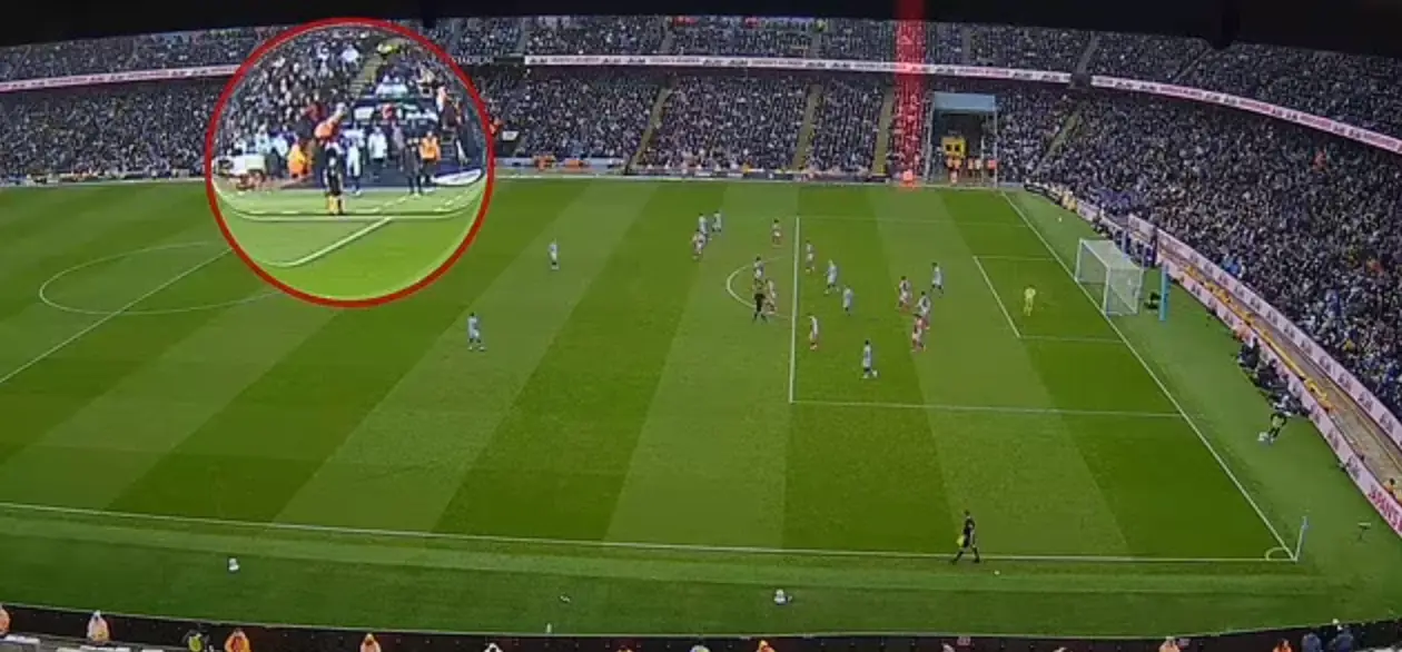 Image credit: The Mail