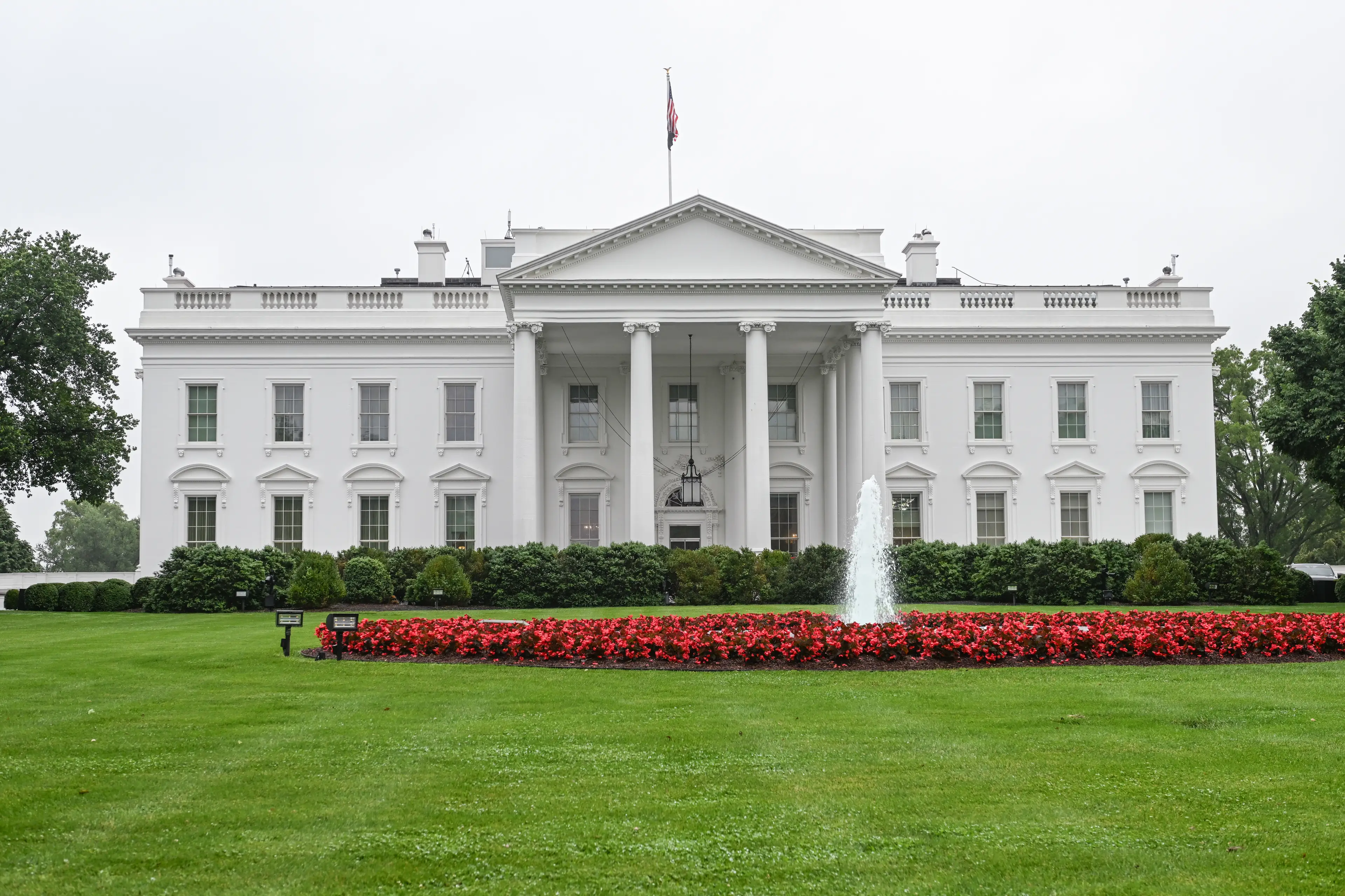 A UFC event at the White House is being planned. Image: Getty 