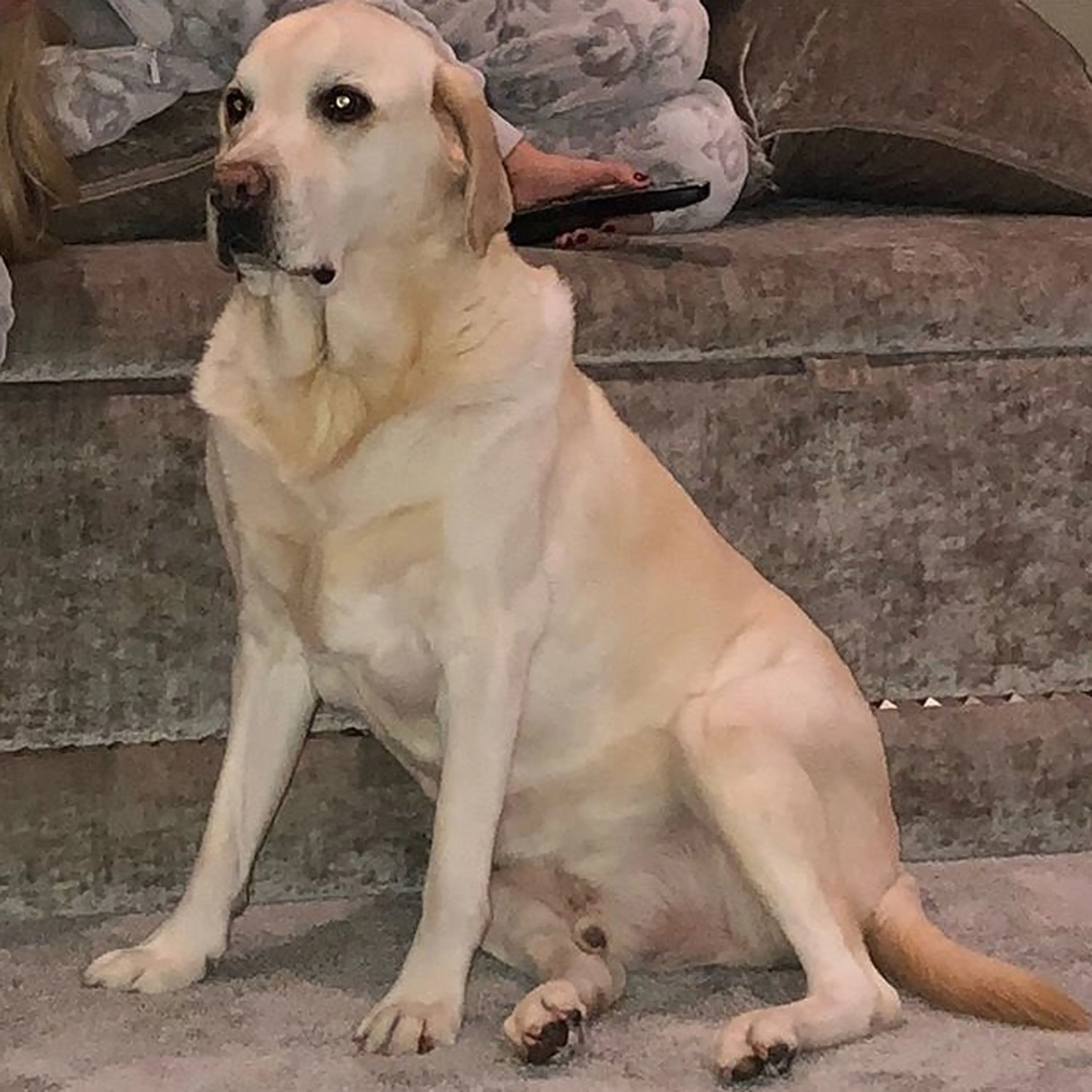 Image credit: Twitter