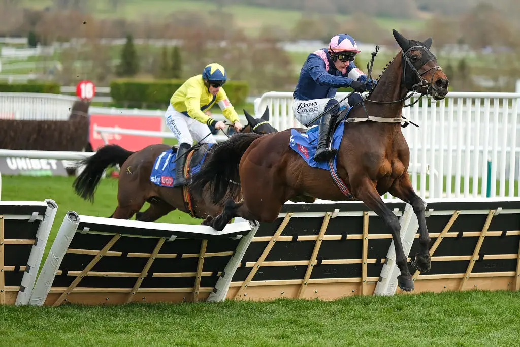 The 2025 Cheltenham Festival has been one of the most dramatic in years. (Image: Getty)