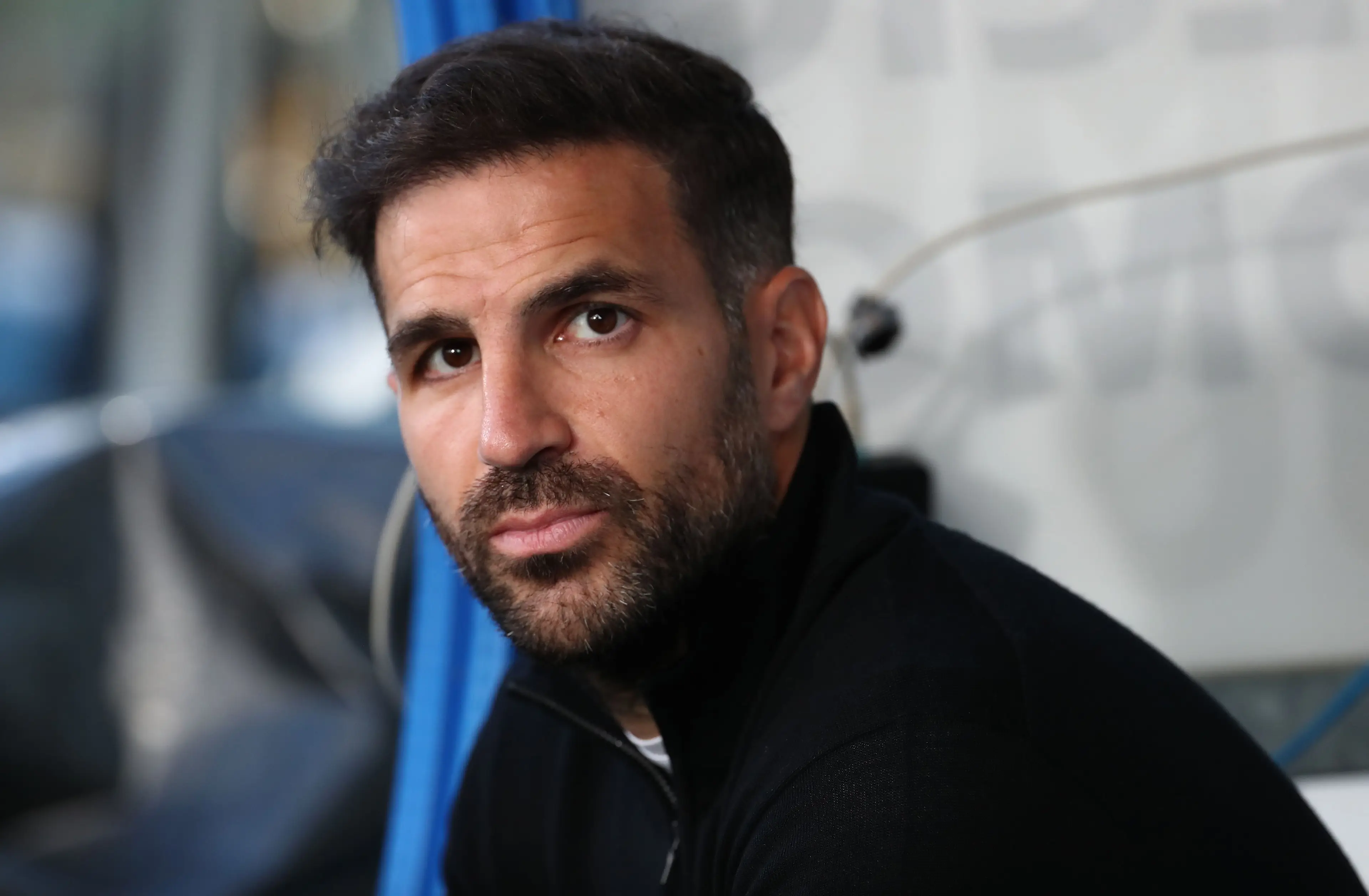Cesc Fabregas is head coach at Como (Image: Getty)