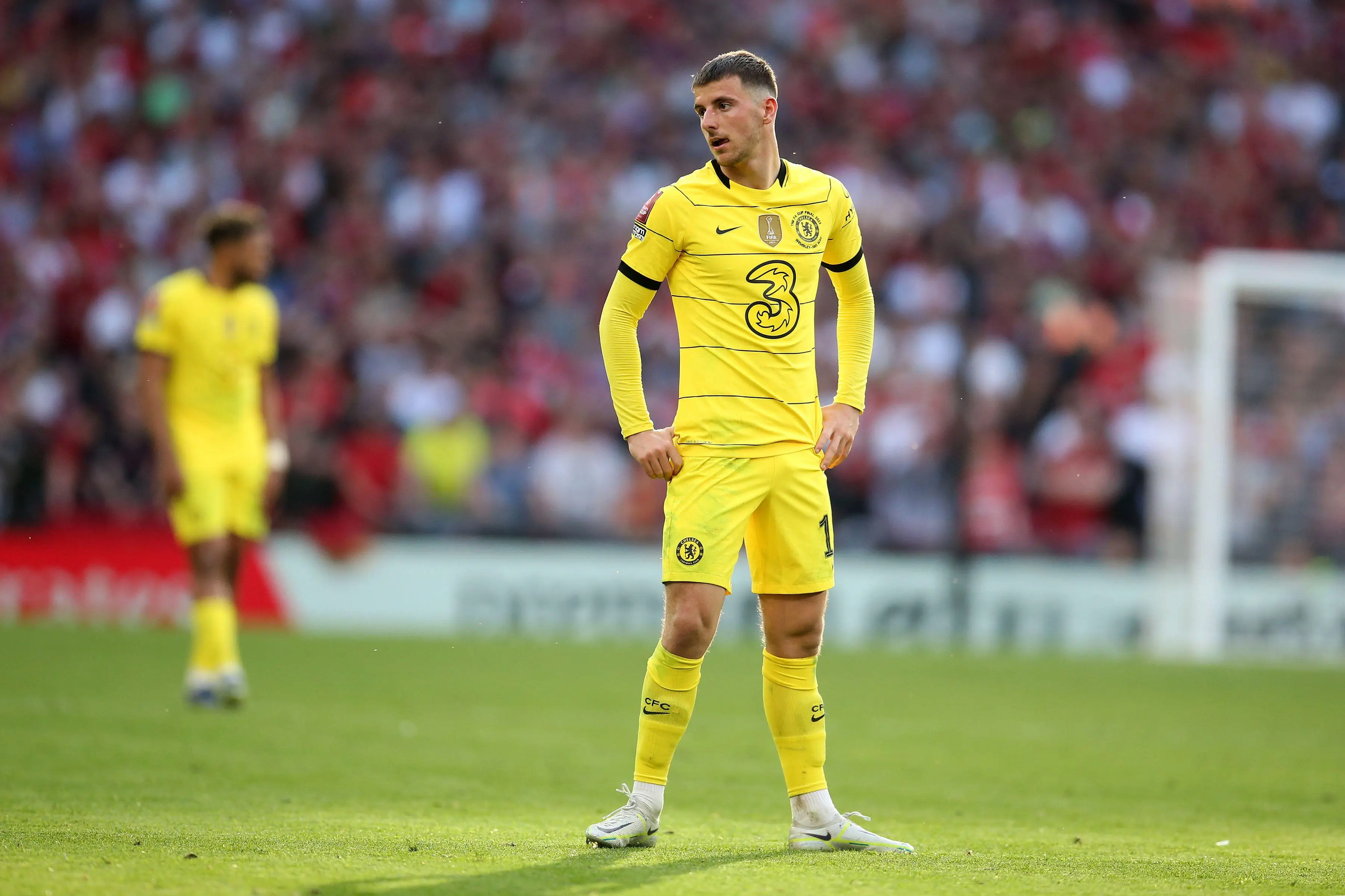  Andrew Orchard sports photography / Alamy