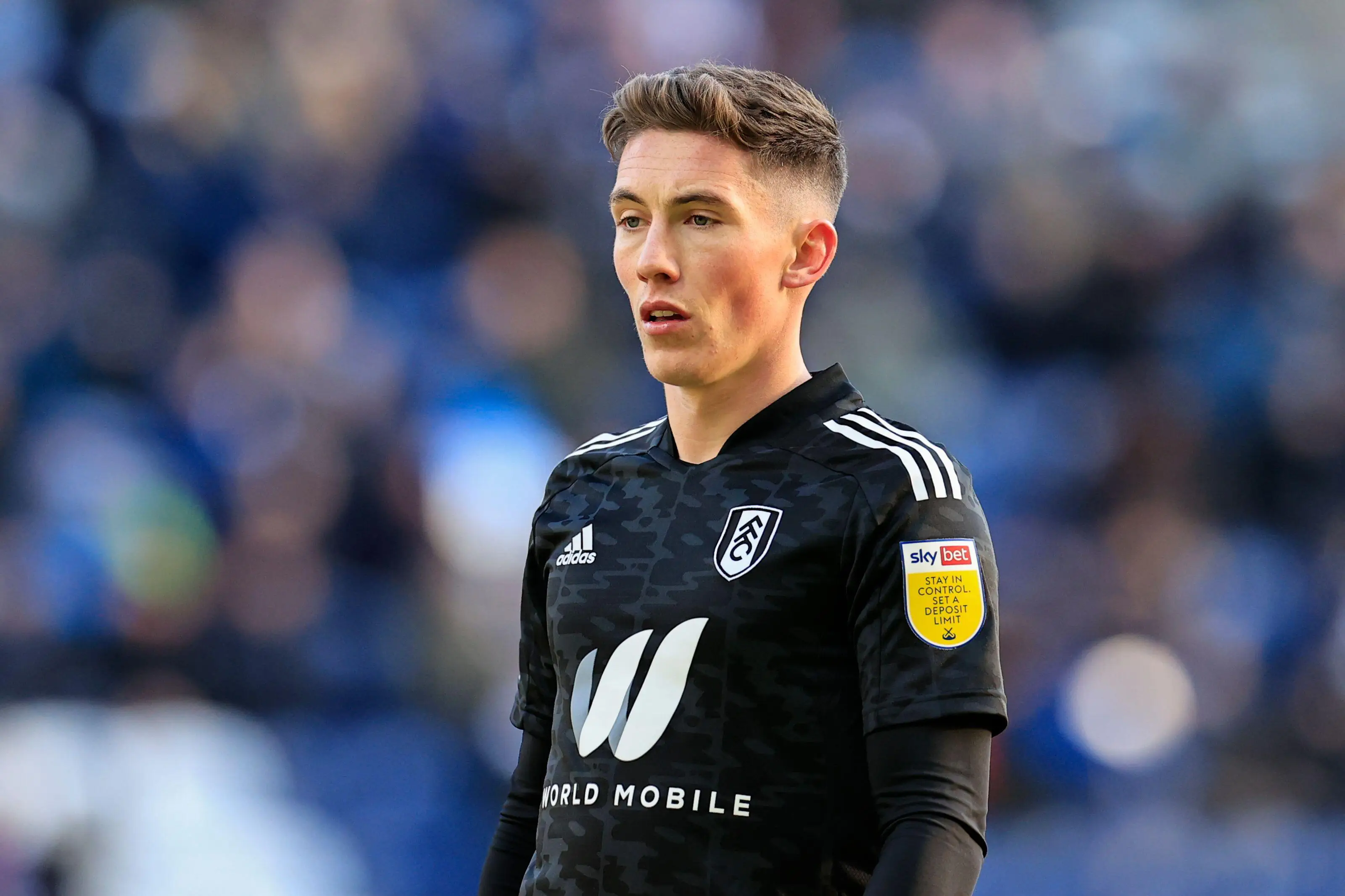 Wilson has a big opportunity to impress for Fulham this season