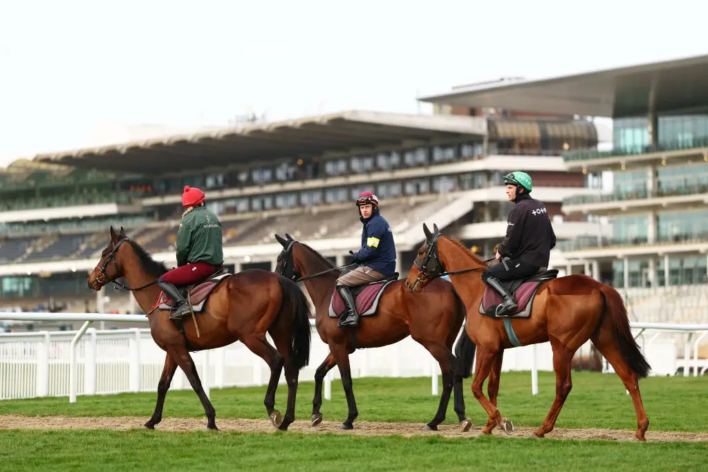 Cheltenham festival is set to get underway on Tuesday. (Image: Getty)