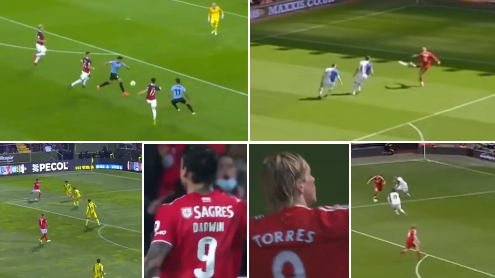 Fan Creates Video Of Darwin Nunez Scoring Similar Goals To Fernando Torres, Liverpool Supporters Are Excited