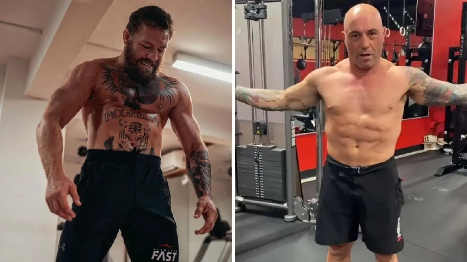 Conor McGregor/Instagram.  Joe Rogan/Instagram.