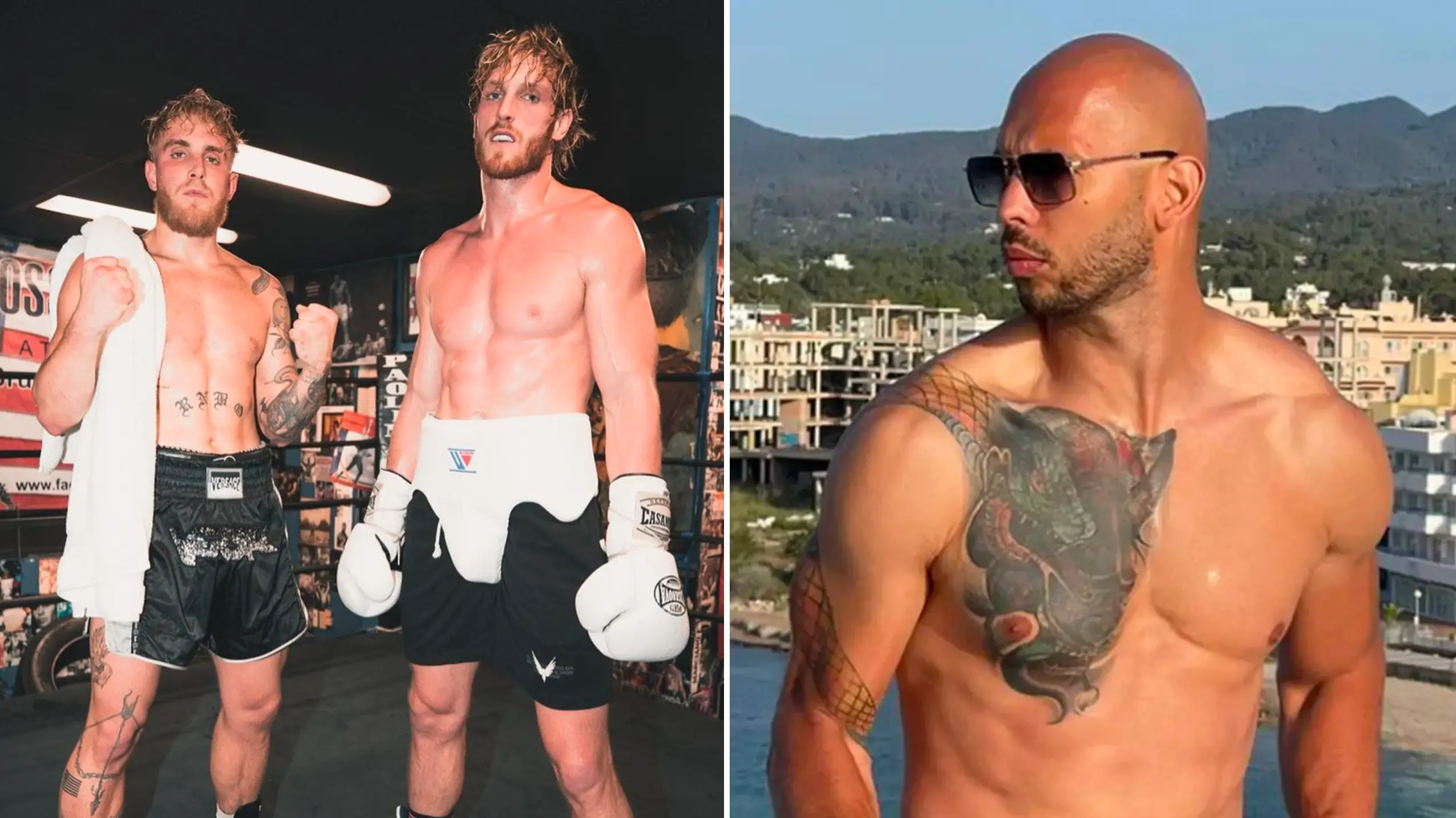 Jake Paul/Instagram & Andrew Tate