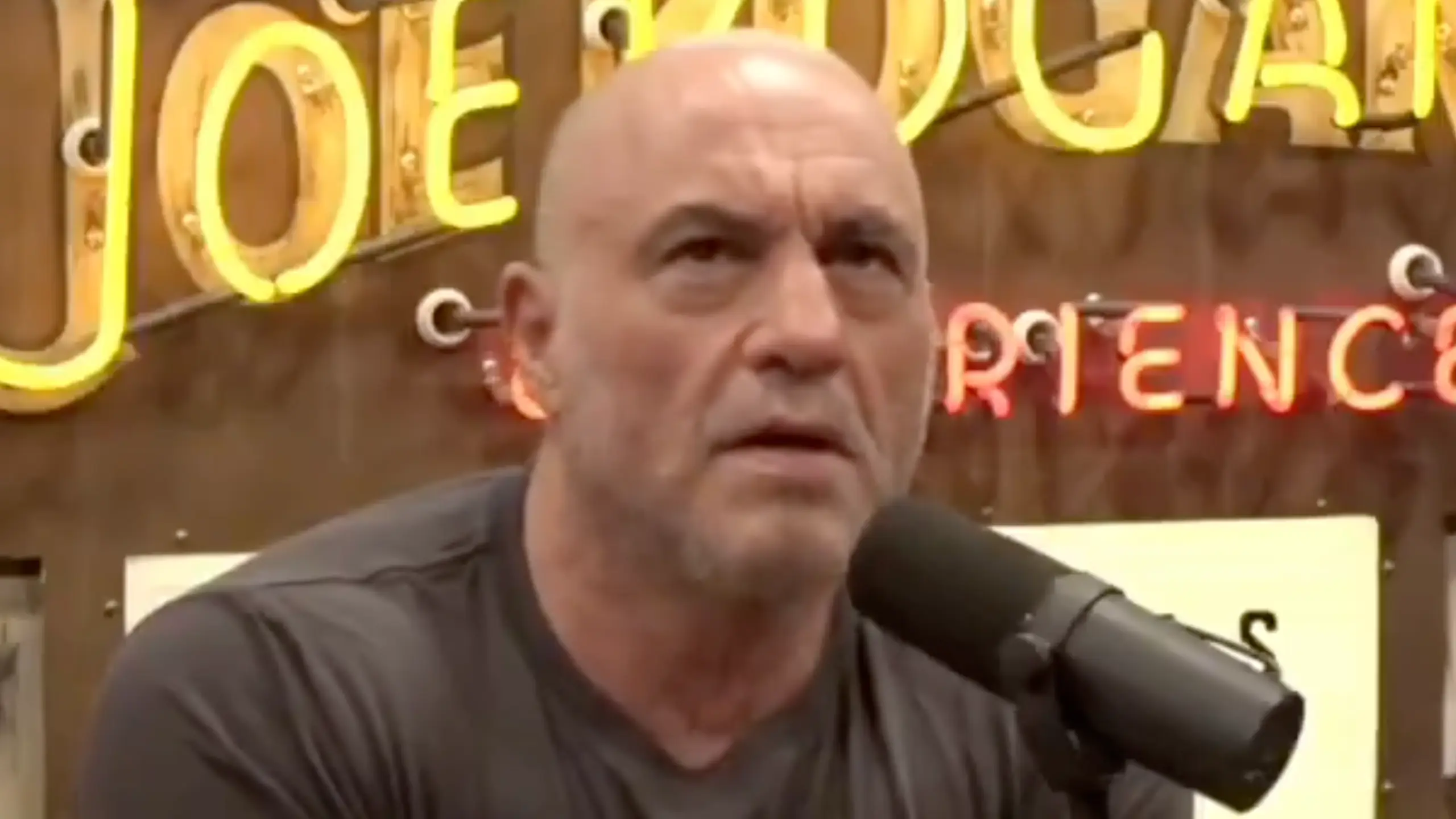 The Joe Rogan Experience