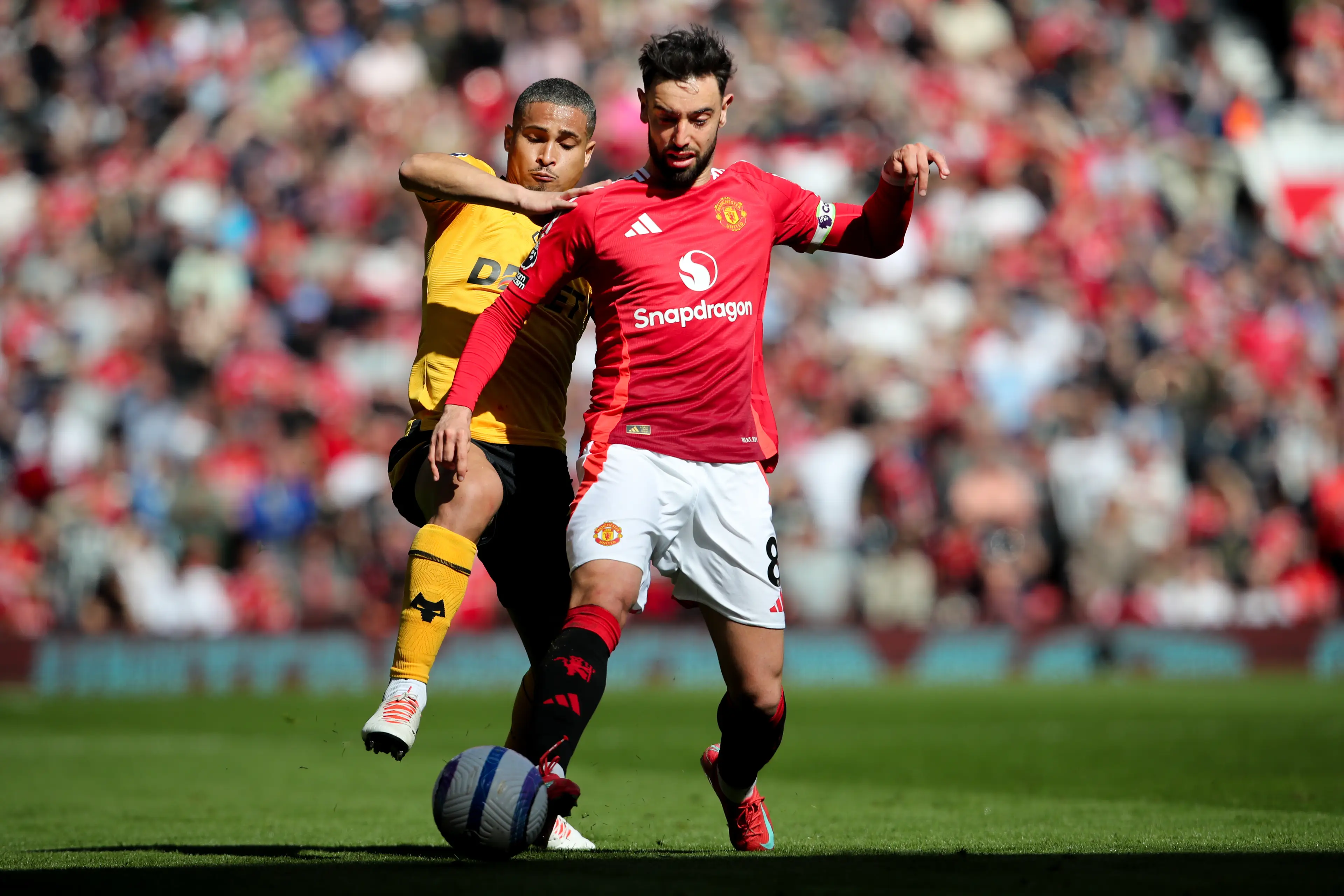 Joao Gomes playing for Wolves against Man Utd (Image: Getty)