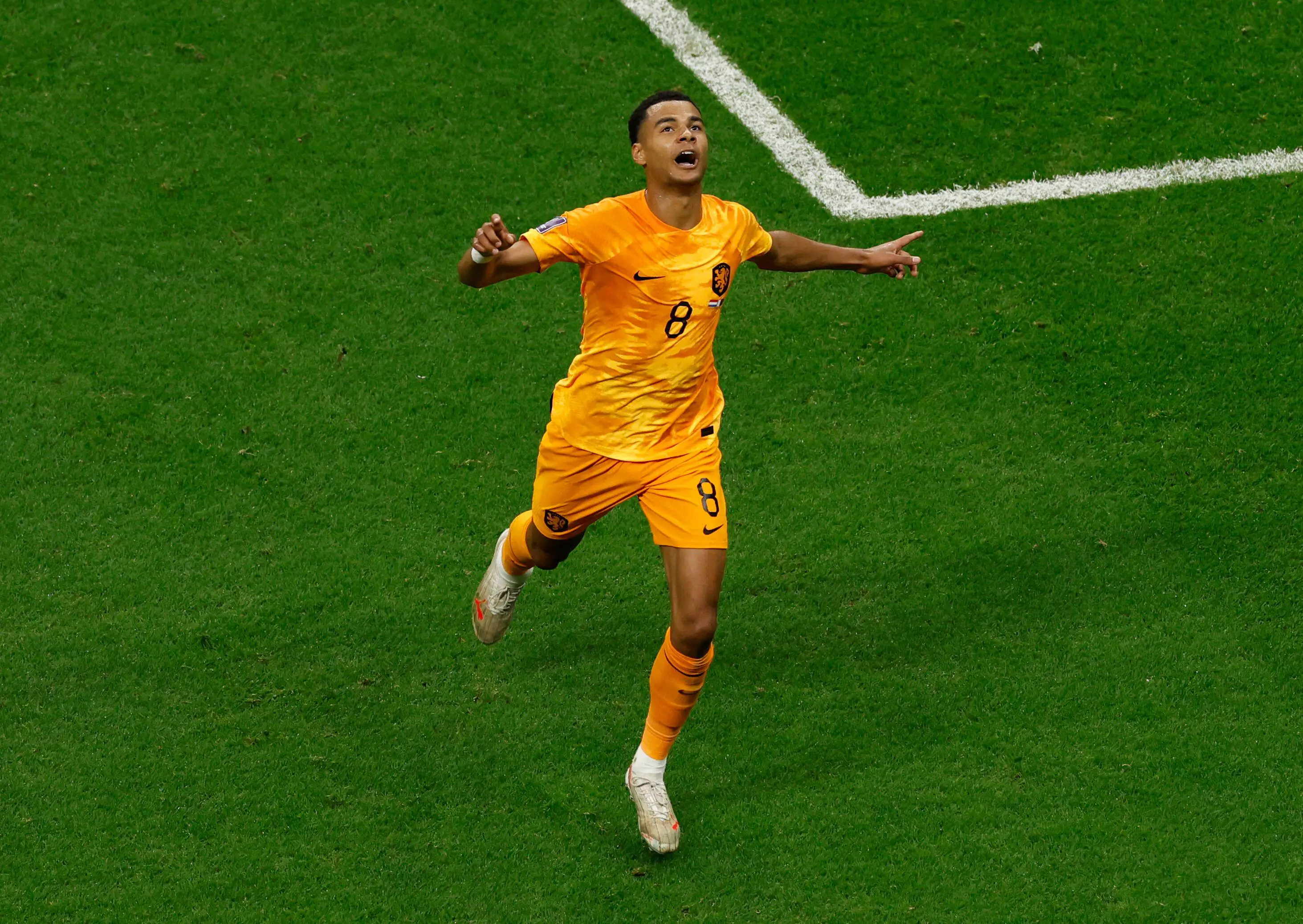 Cody Gakpo is set to move to Liverpool Image: Alamy