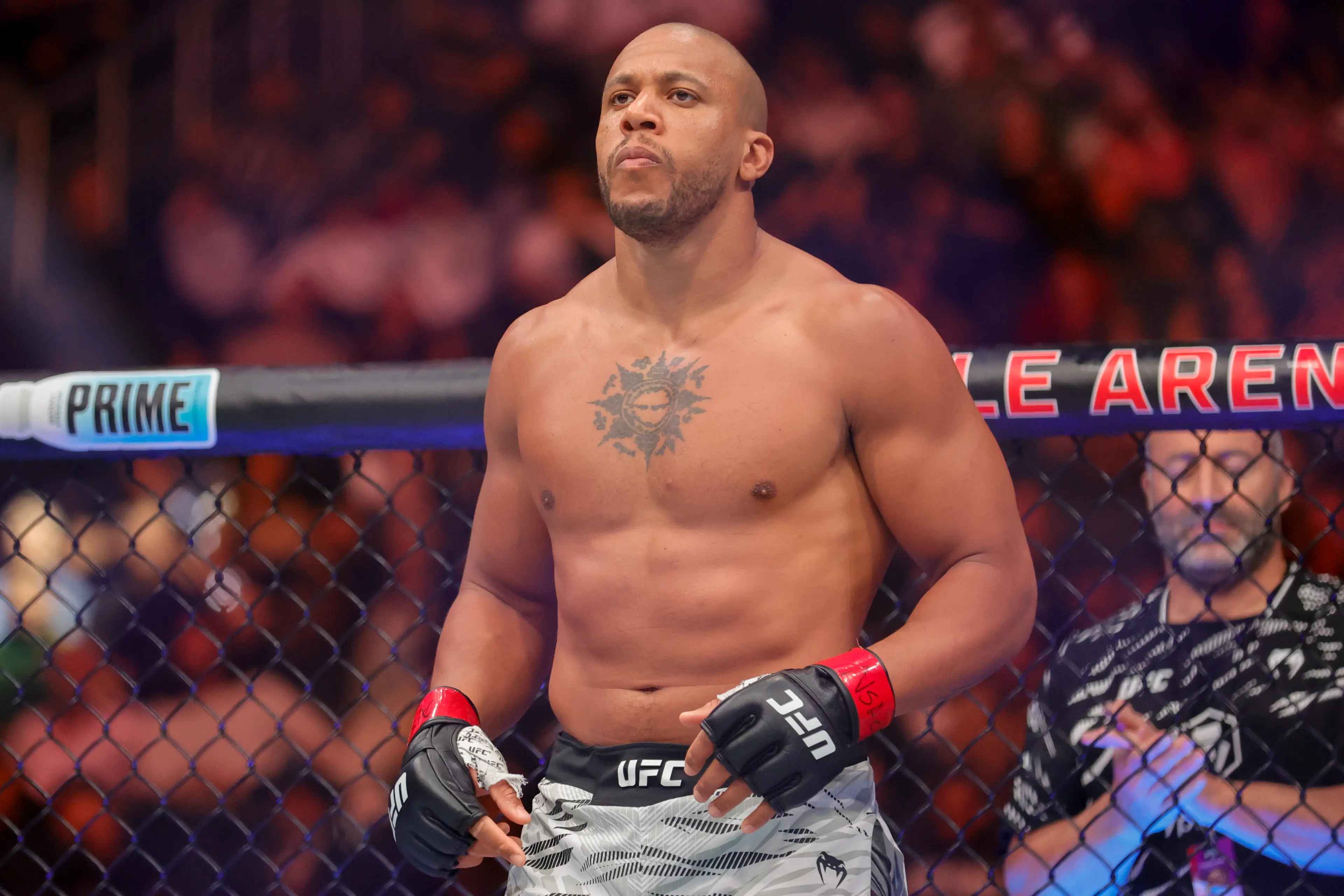 Ciryl Gane is looking the likely contender for the heavyweight title Photo by Steve Marcus/Getty Images