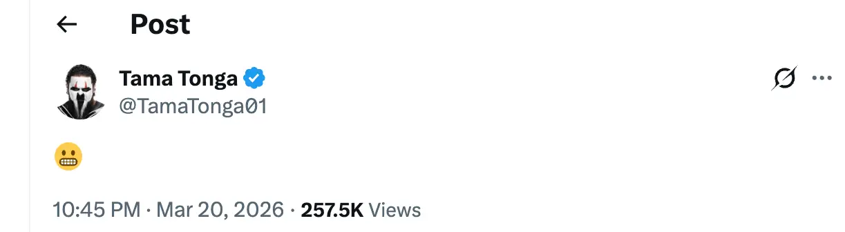 Tama Tonga was fined and lost the tag team titles. Image: X/@TamaTonga01
