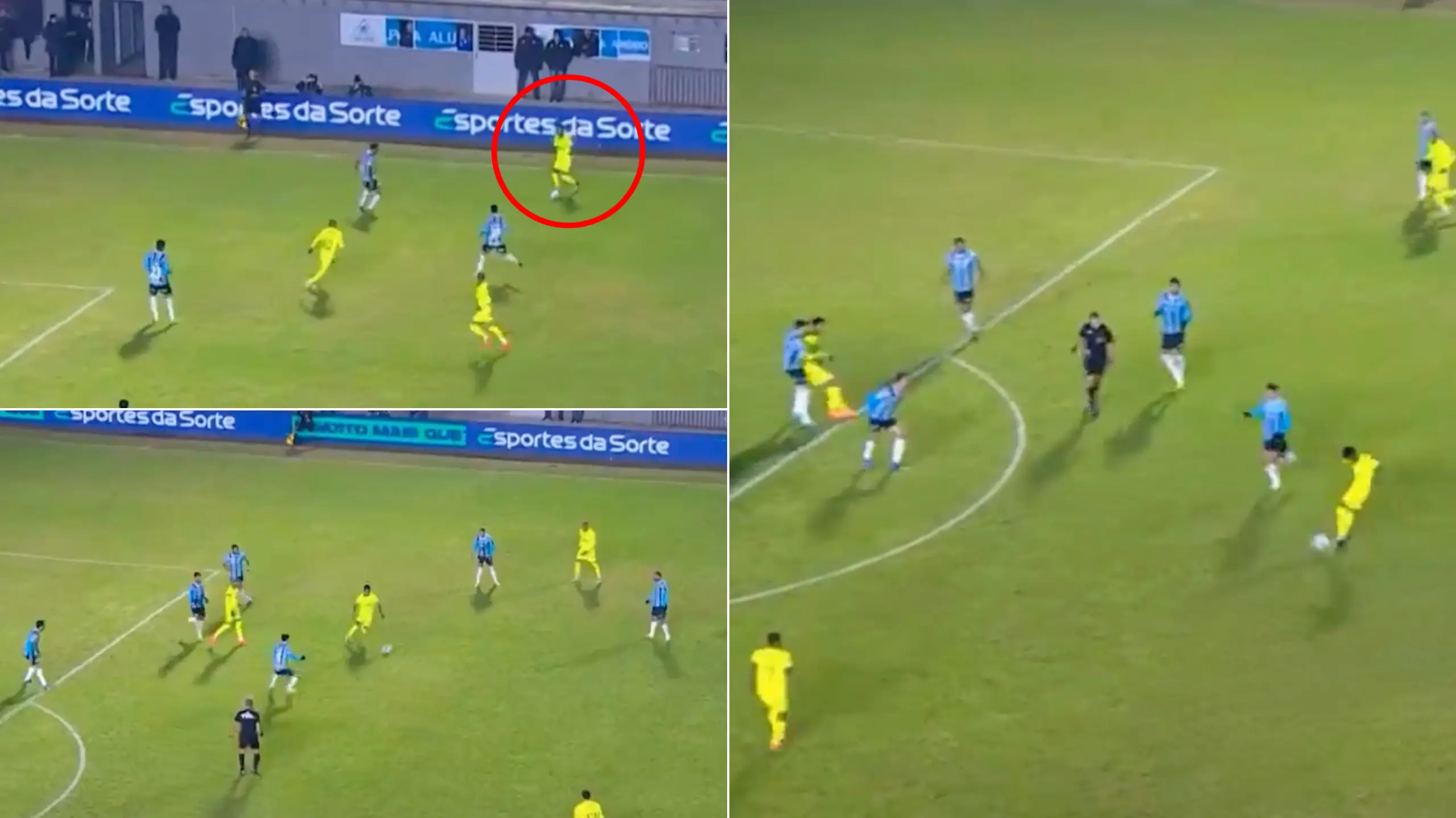 Chelsea fans are convinced they've signed the next big thing after 'Messinho' scores outrageous goal for Palmeiras