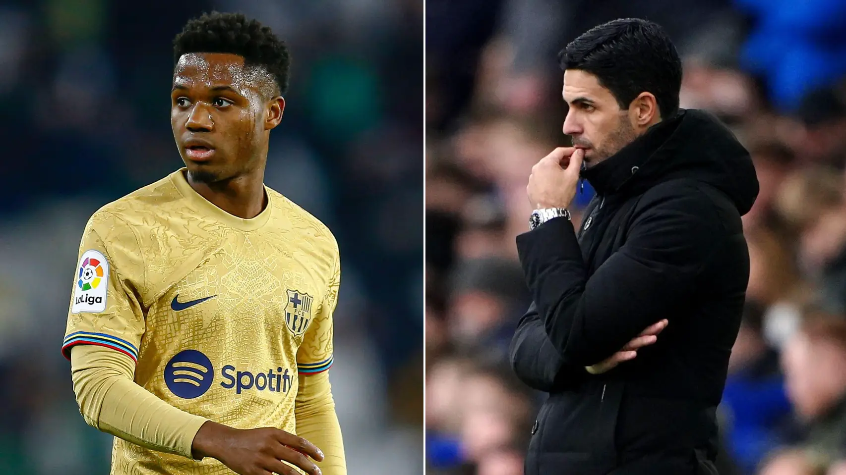 Antonio Pozo/PRESSIN / Alamy