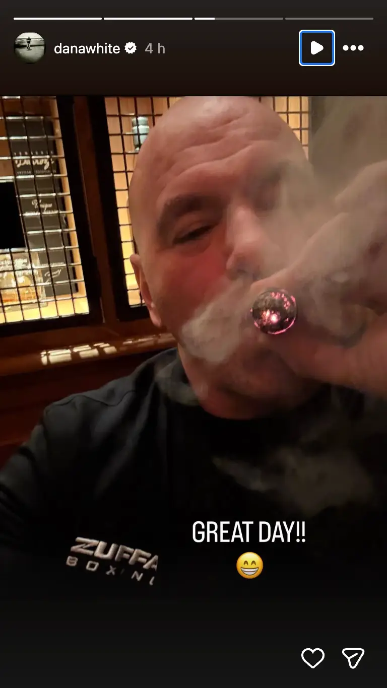 White went on to post a picture of himself smoking a cigar. Image credit: Instagram/danawhite