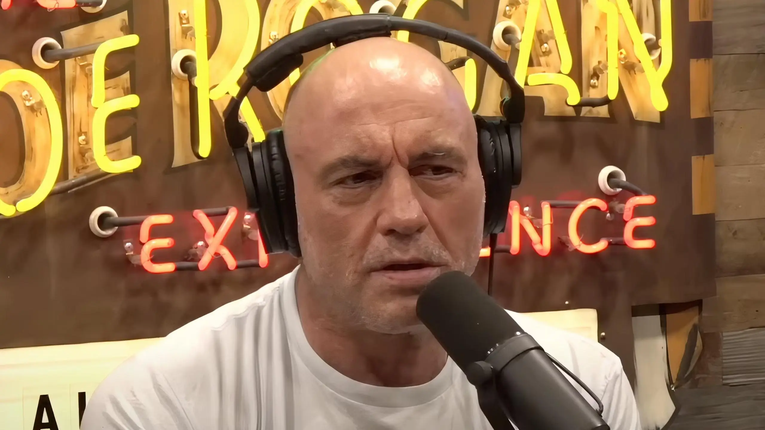 Joe Rogan Experience