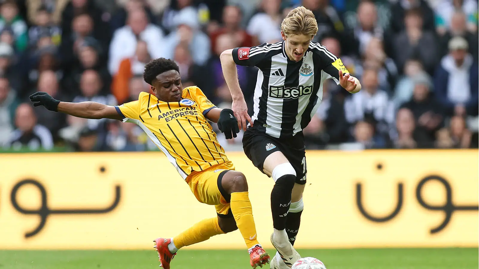 Lamptey in action for Brighton against Newcastle in March 2025 (Image: Getty)