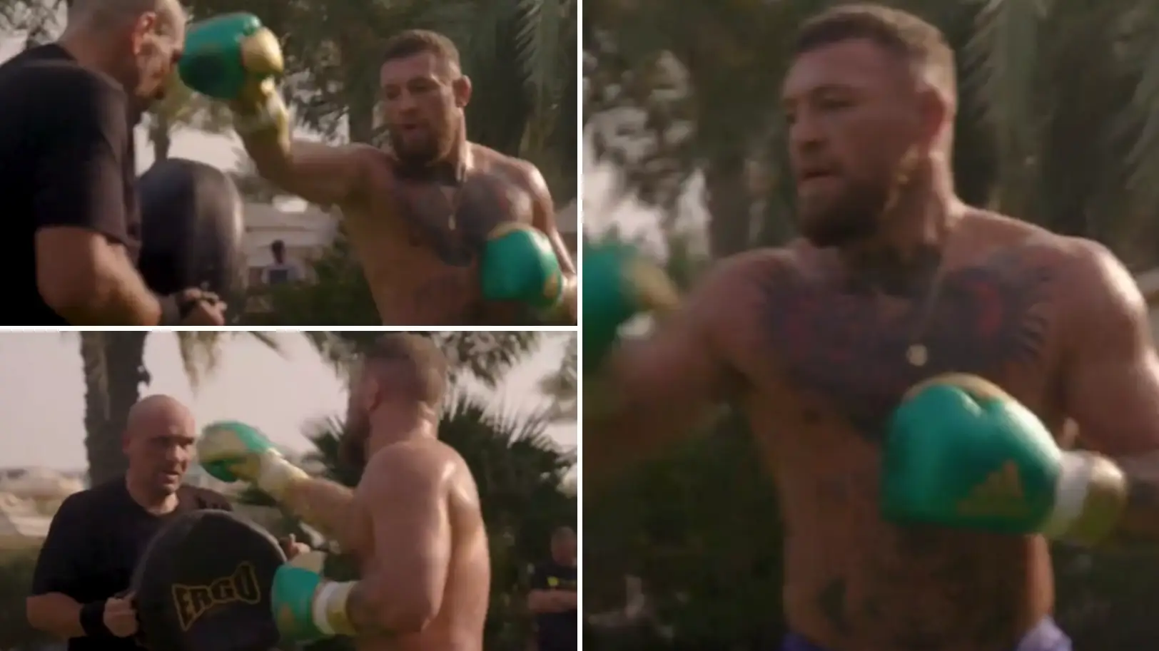 Conor McGregor