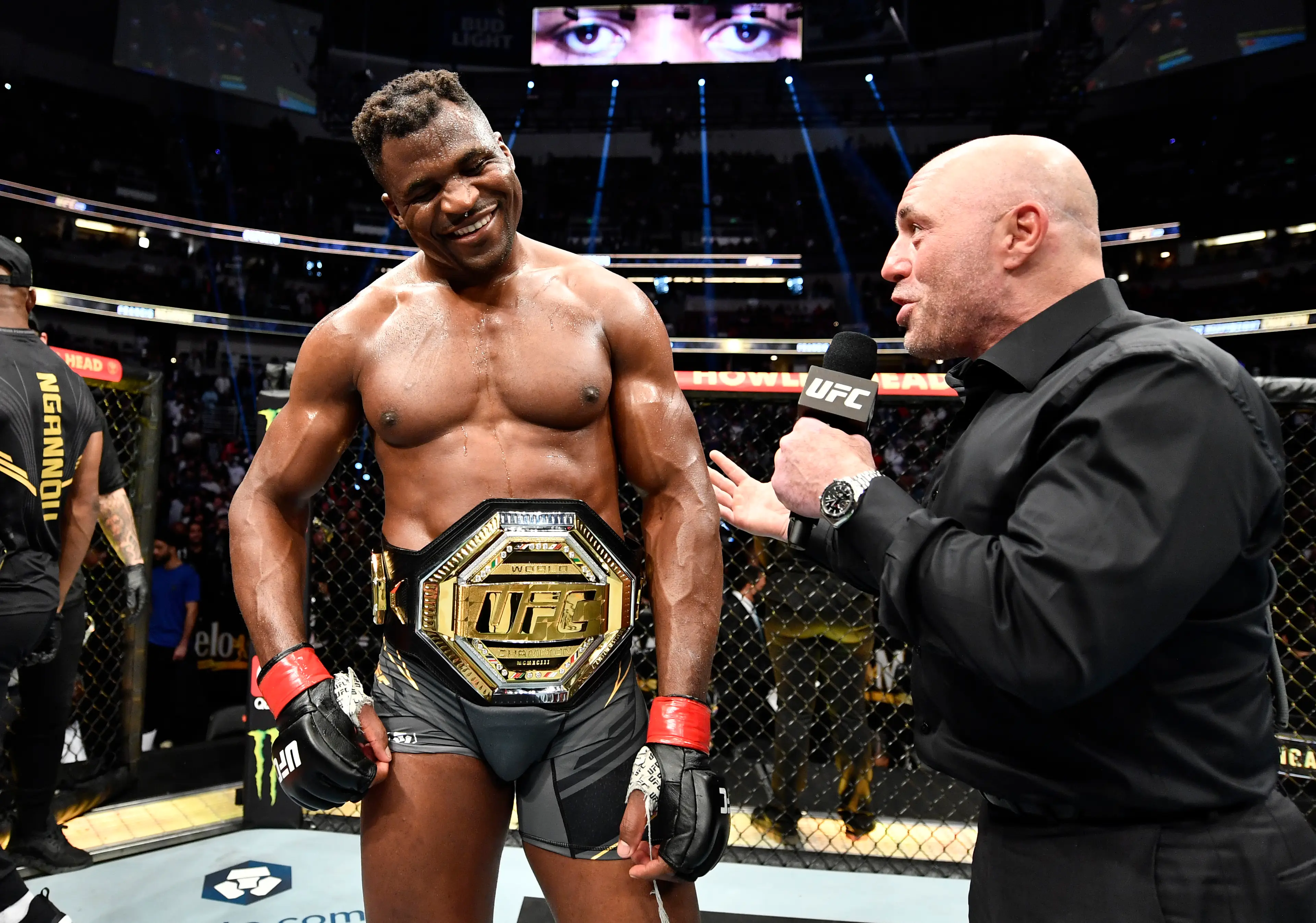 Francis Ngannou left the UFC as heavyweight champion. Image: Getty 