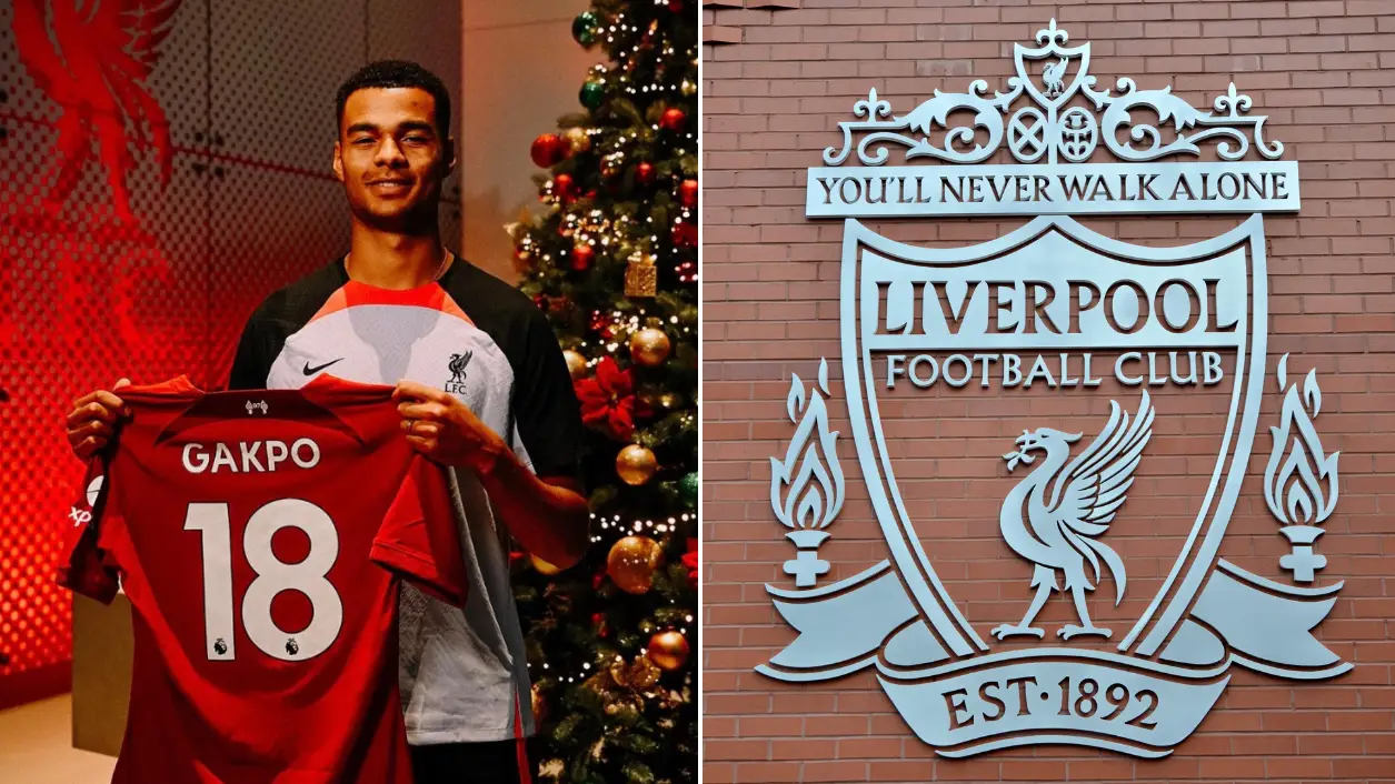 "I'm looking at the fee" - Pundit stunned by how much Liverpool paid for Gakpo as Championship comparison made