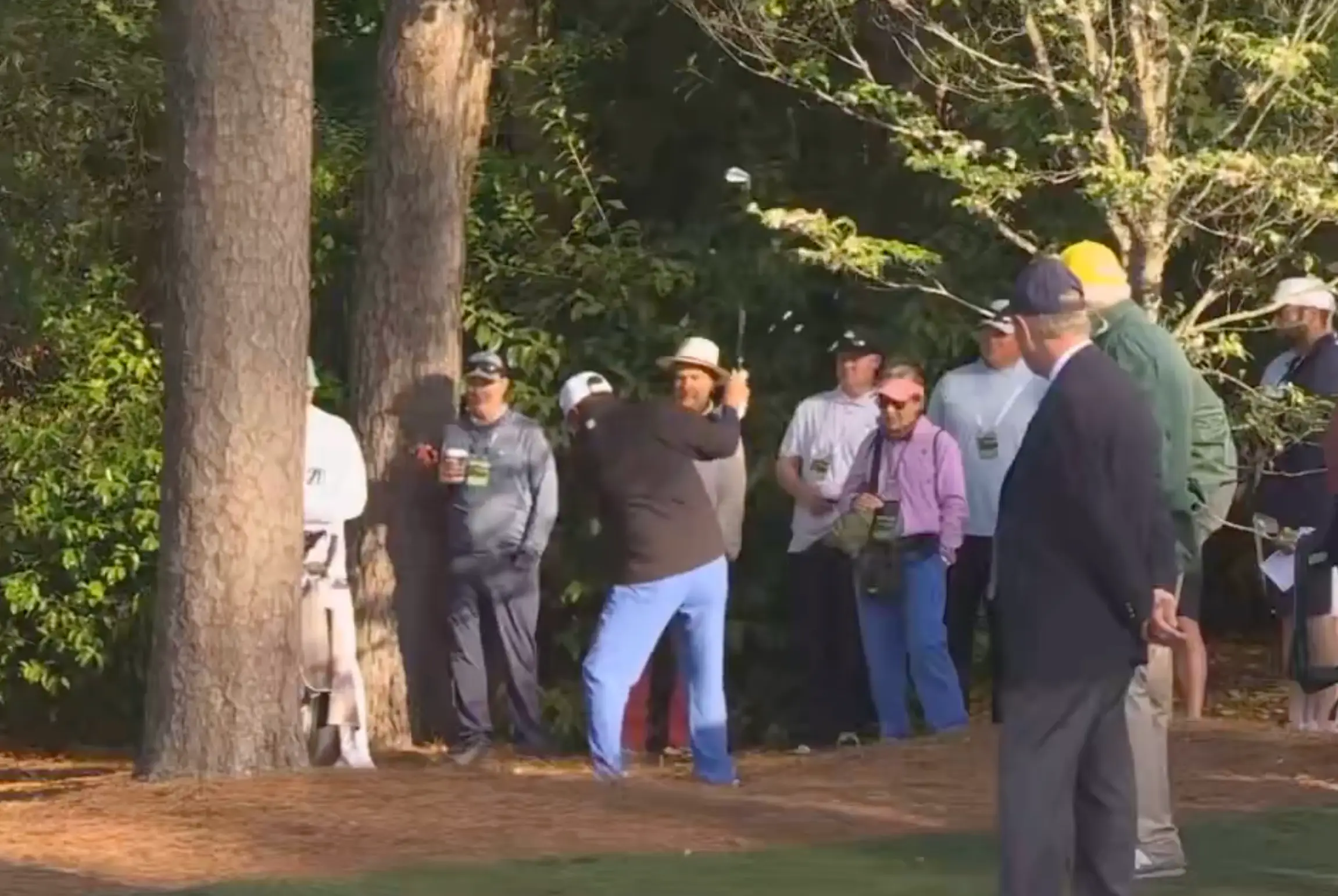 Olazabal's club made contact with the tree. Image credit: X/@cwithington22