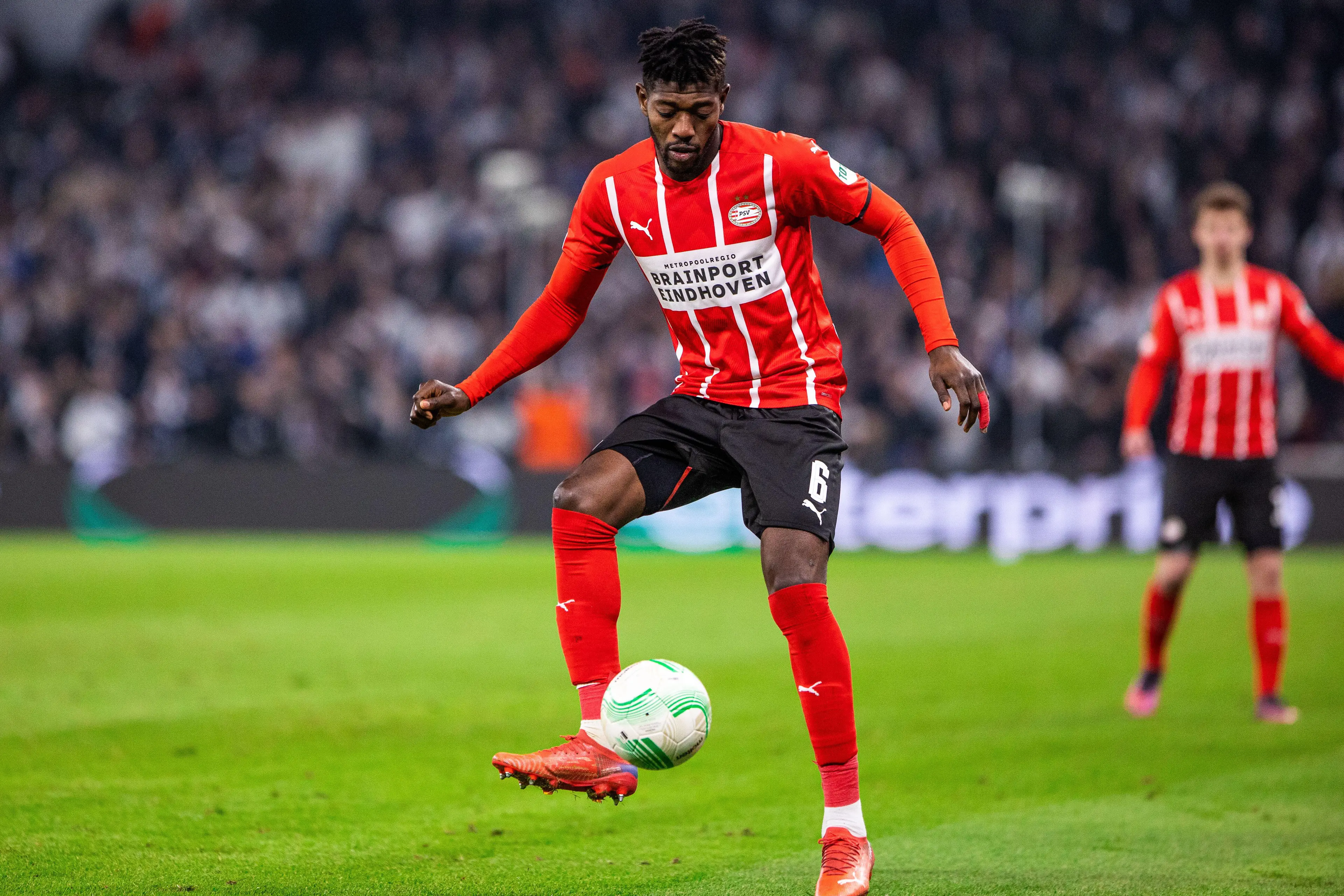 Gonzales Photo / Alamy