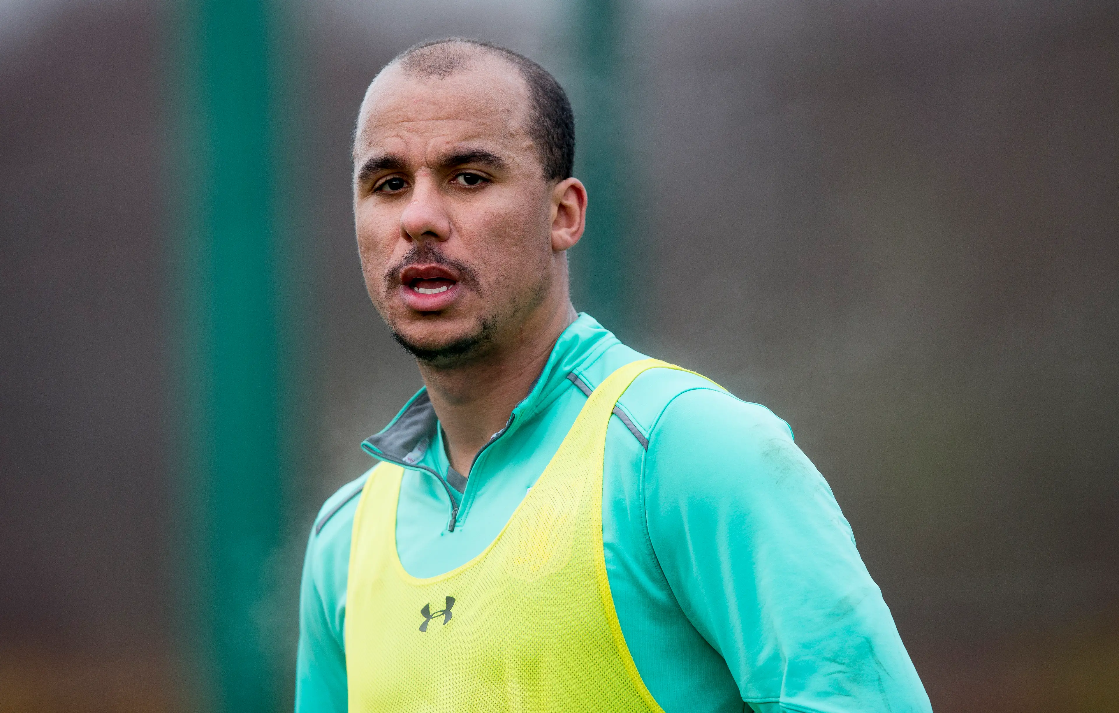 Gabriel Agbonlahor. (