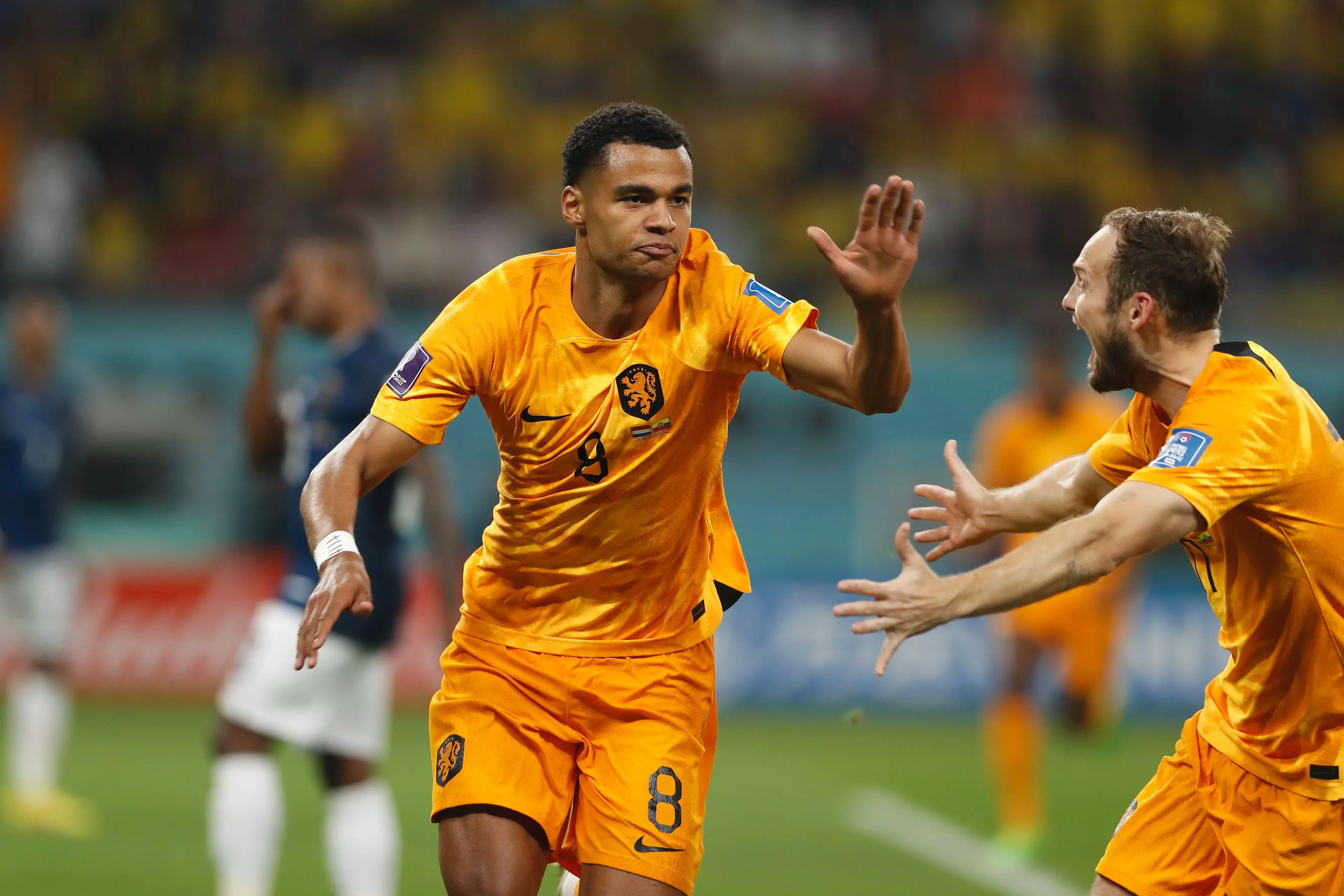 United were strong favourites to sign Gakpo. Image: Alamy