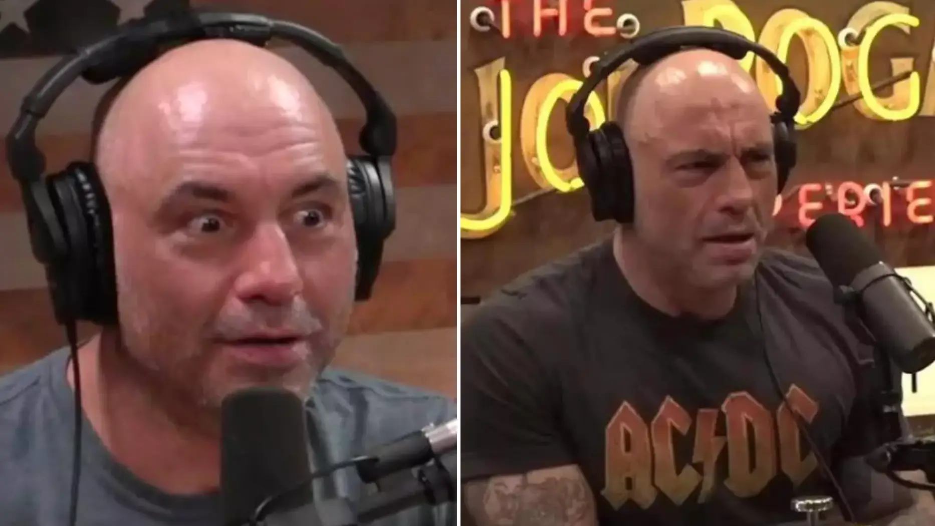 The Joe Rogan Experience