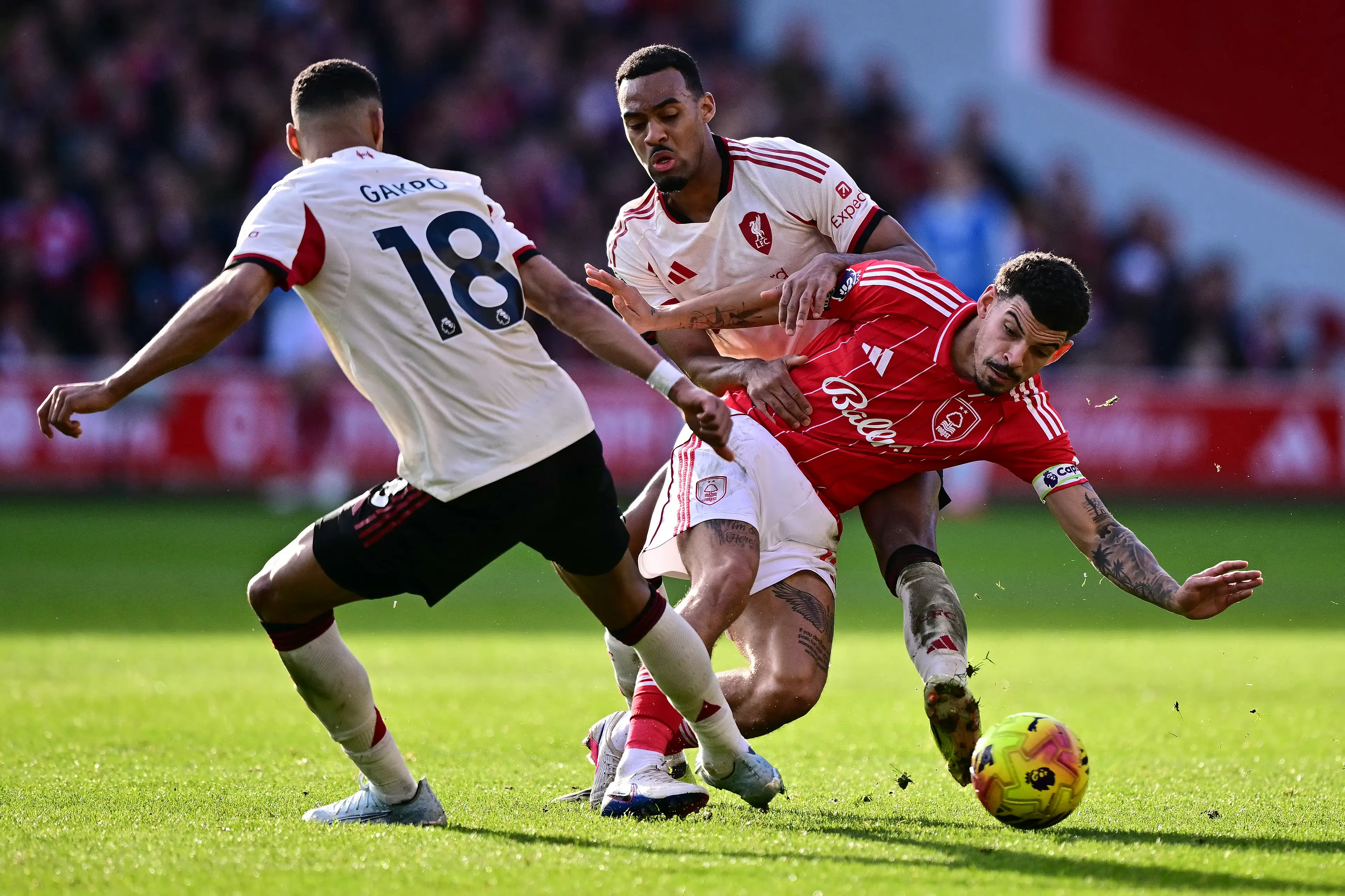 Gibbs-White has impressed for Nottingham Forest this season. Image credit: Getty