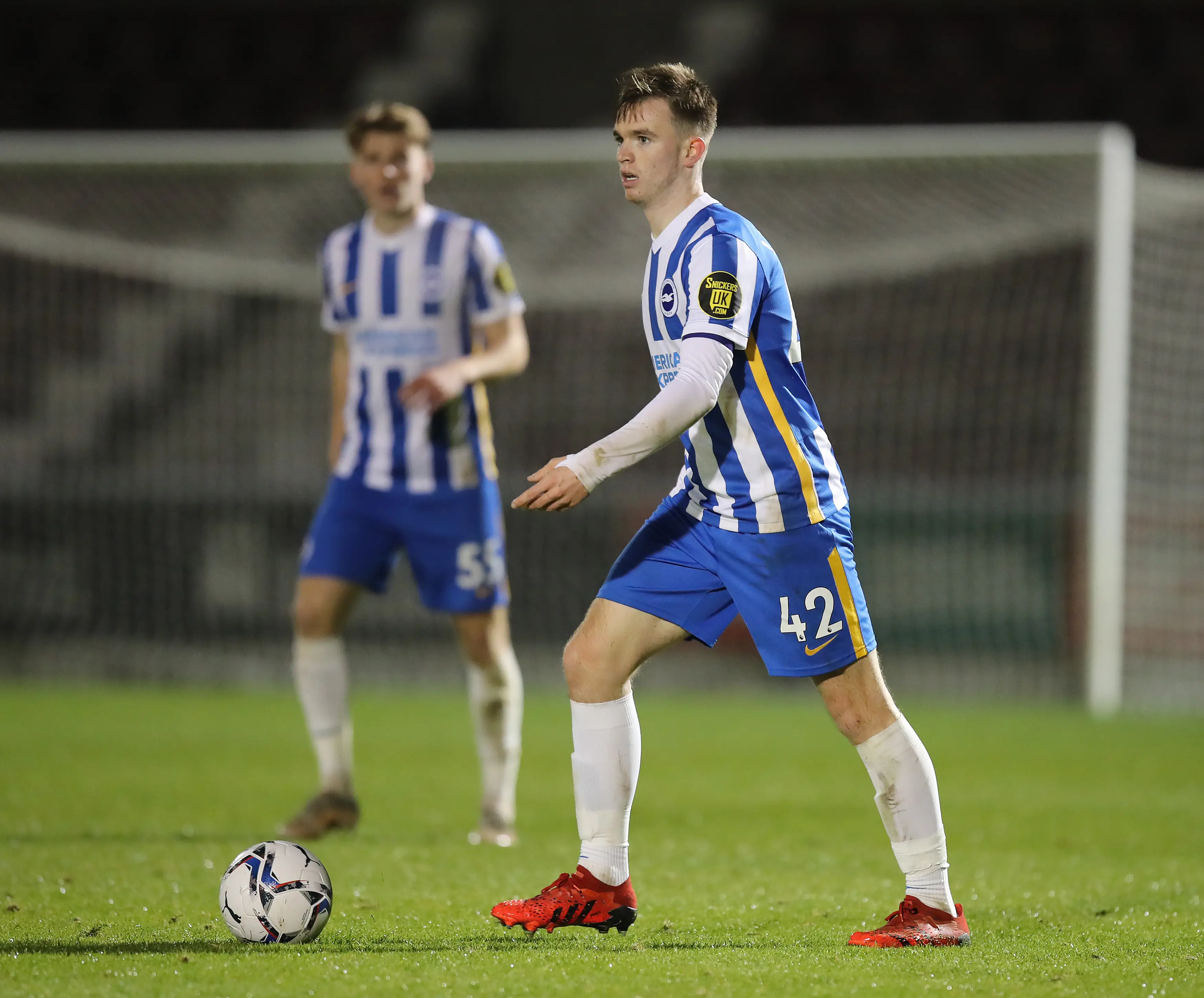 Marc Leonard in action for Brighton. Image: Getty 
