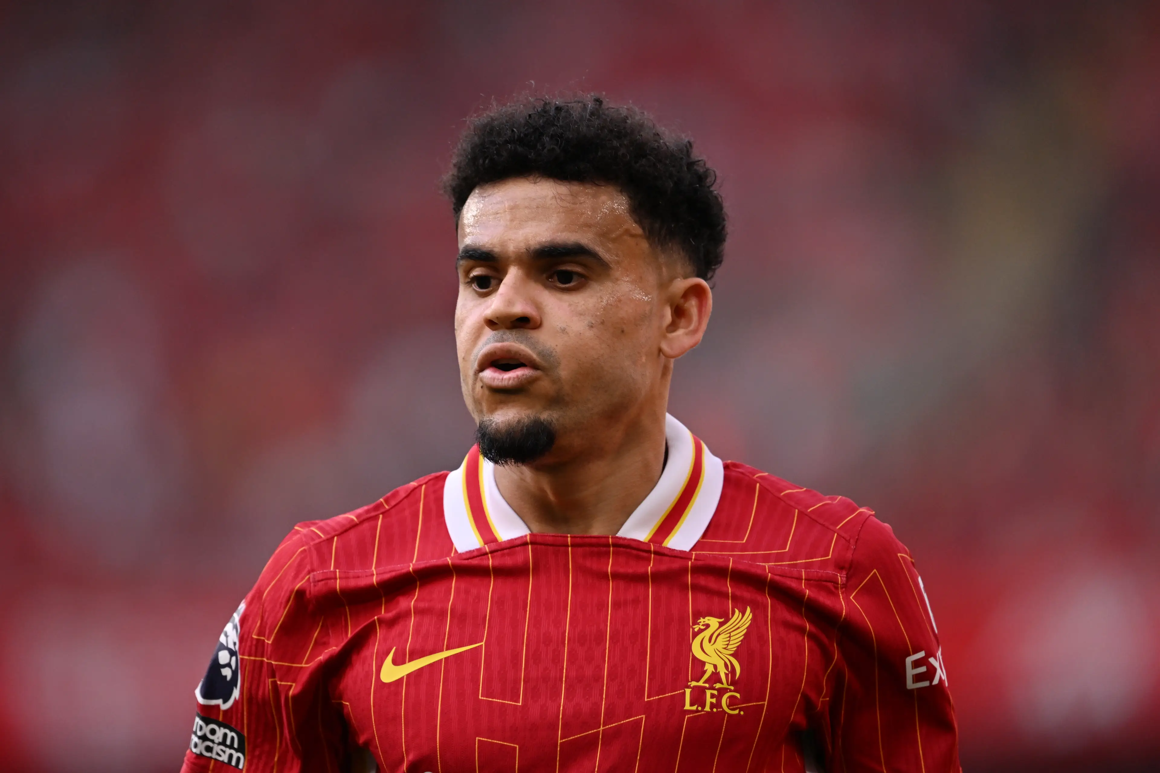 Liverpool's Colombian forward Luis Diaz.