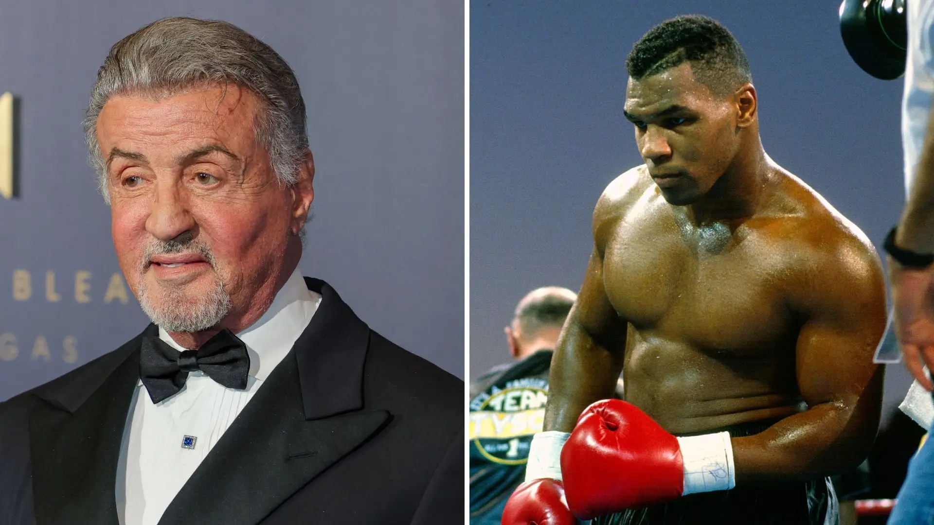 Sylvester Stallone rejected once-in-a-lifetime offer from Mike Tyson after 'fearing for his life'