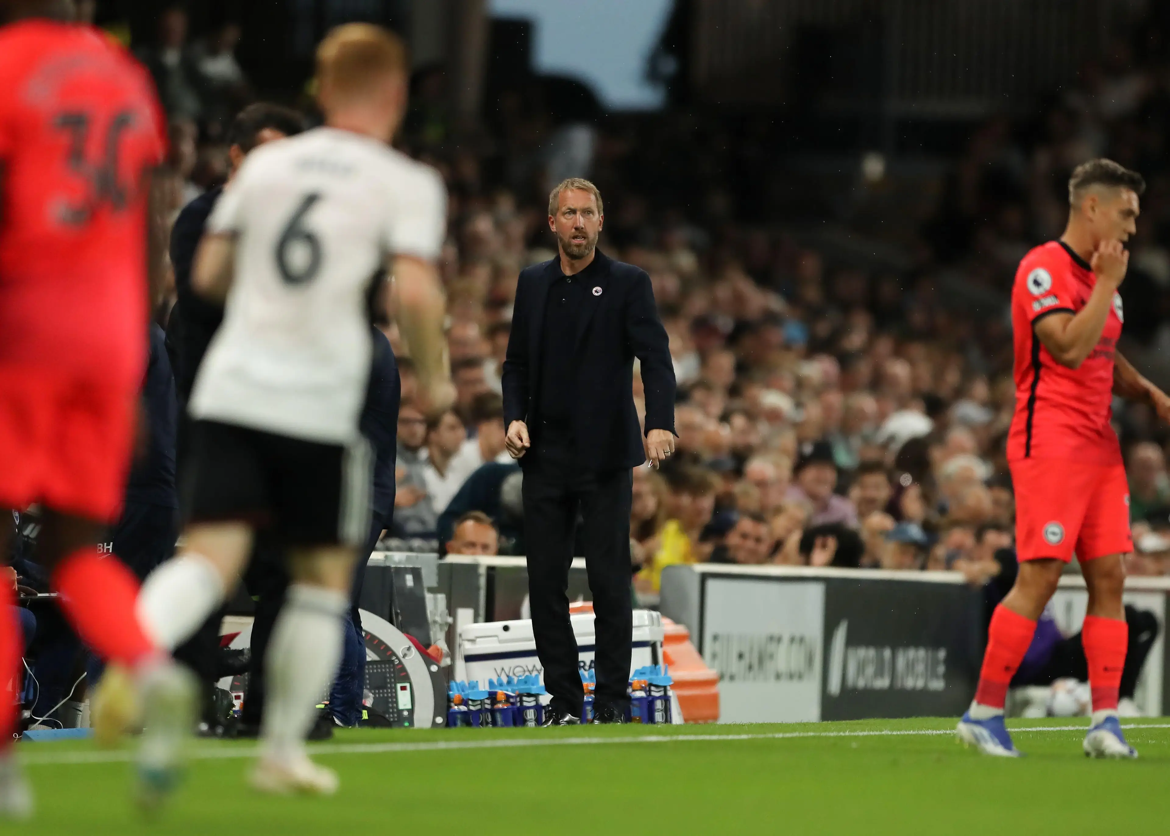 Potter has been hugely impressive at Brighton. Image: Alamy