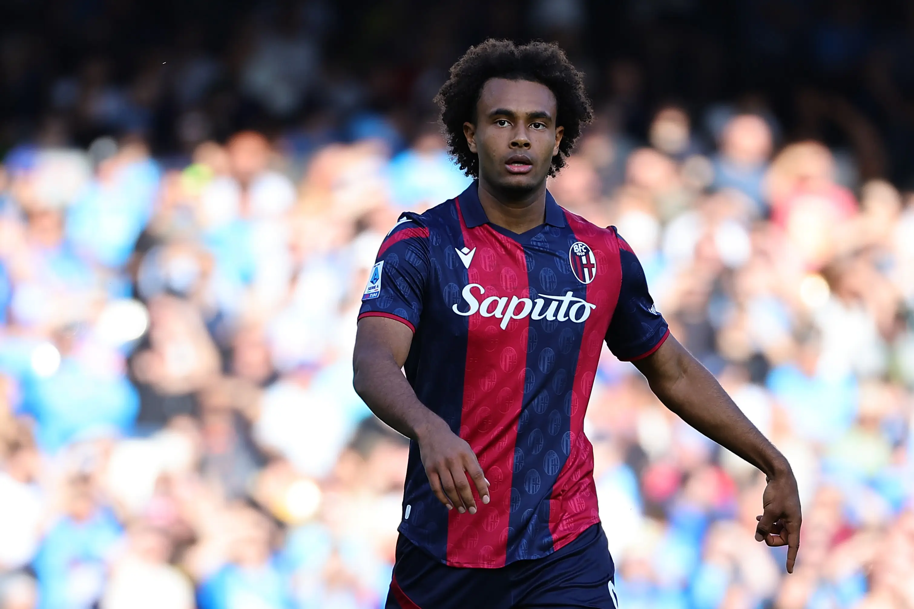 Zirkzee starred for Bologna this season (Getty)