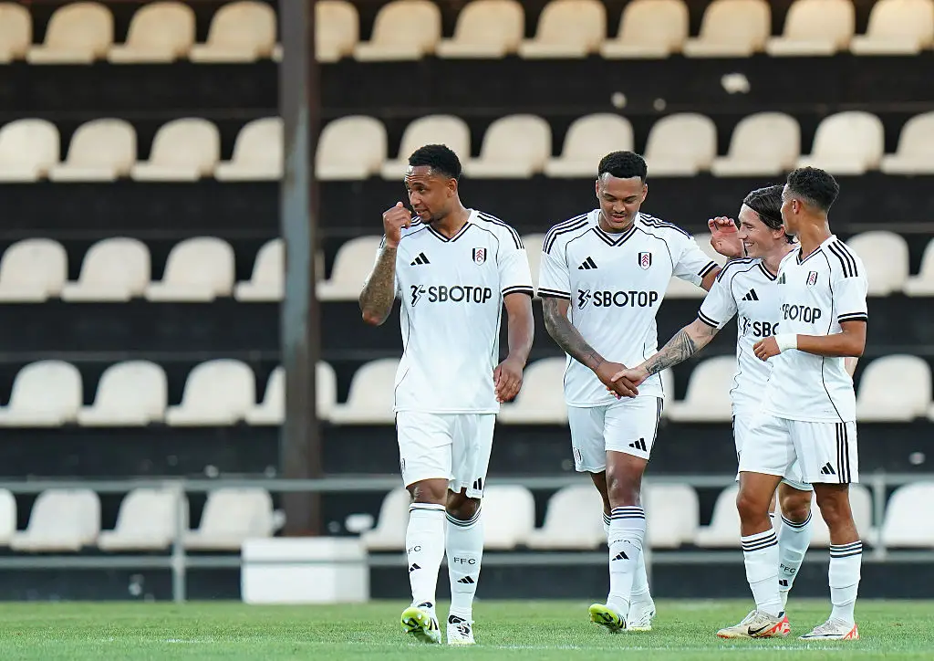 Fulham have signed just one player this summer (Credit:Getty)