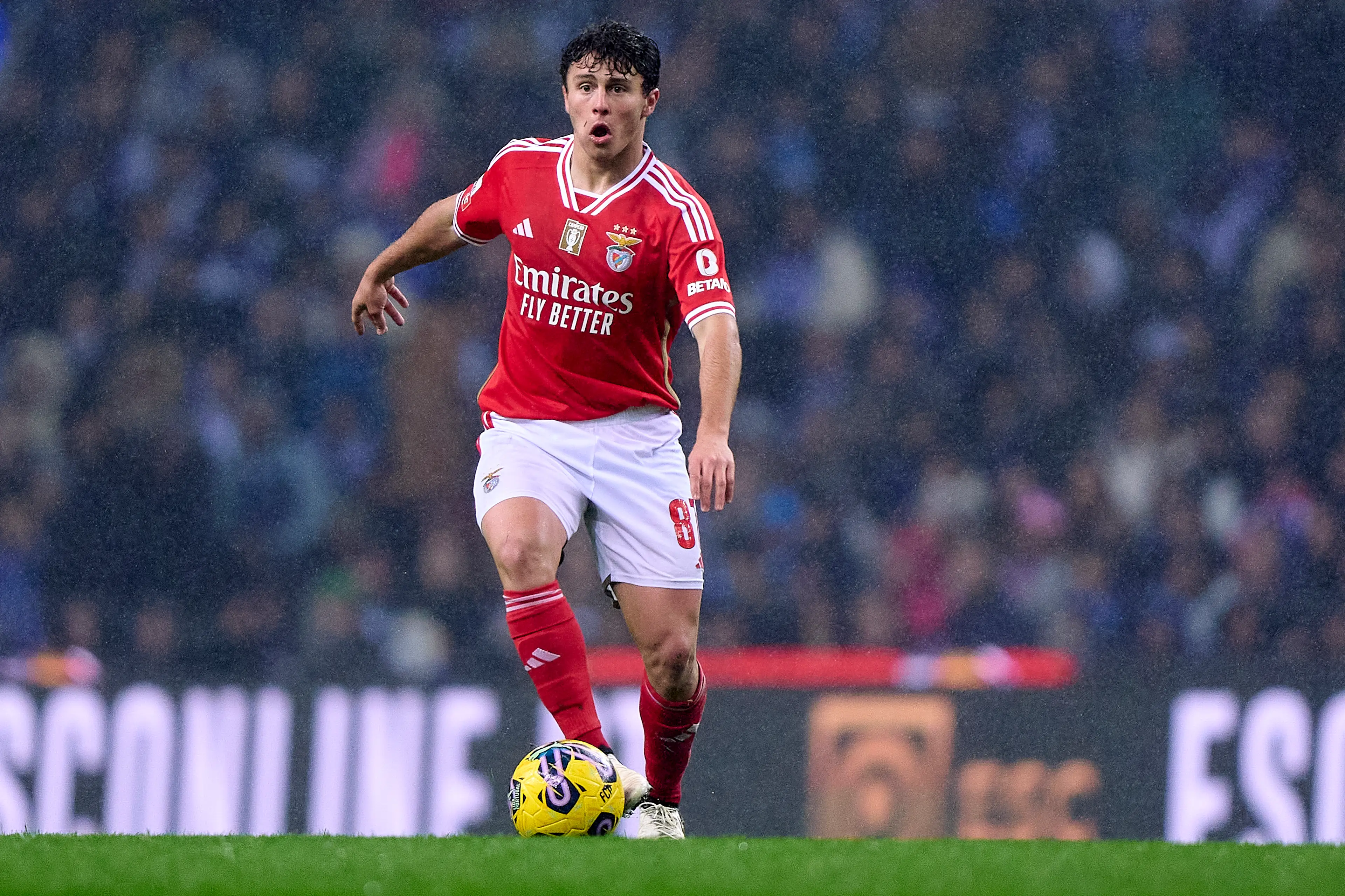 Joao Neves in action for Benfica. Image: Getty