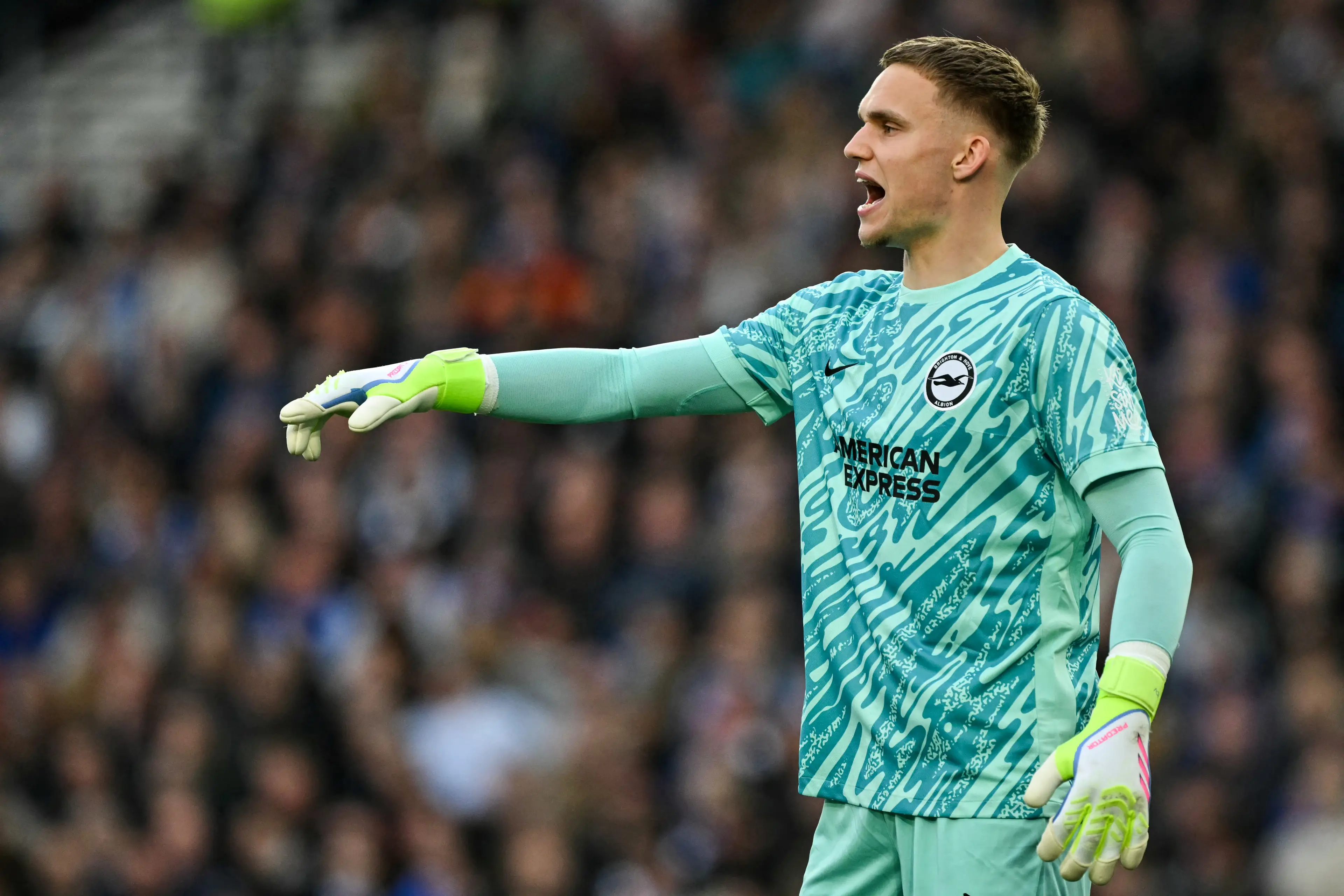 Bart Verbruggen in action for Brighton. Image: Getty 