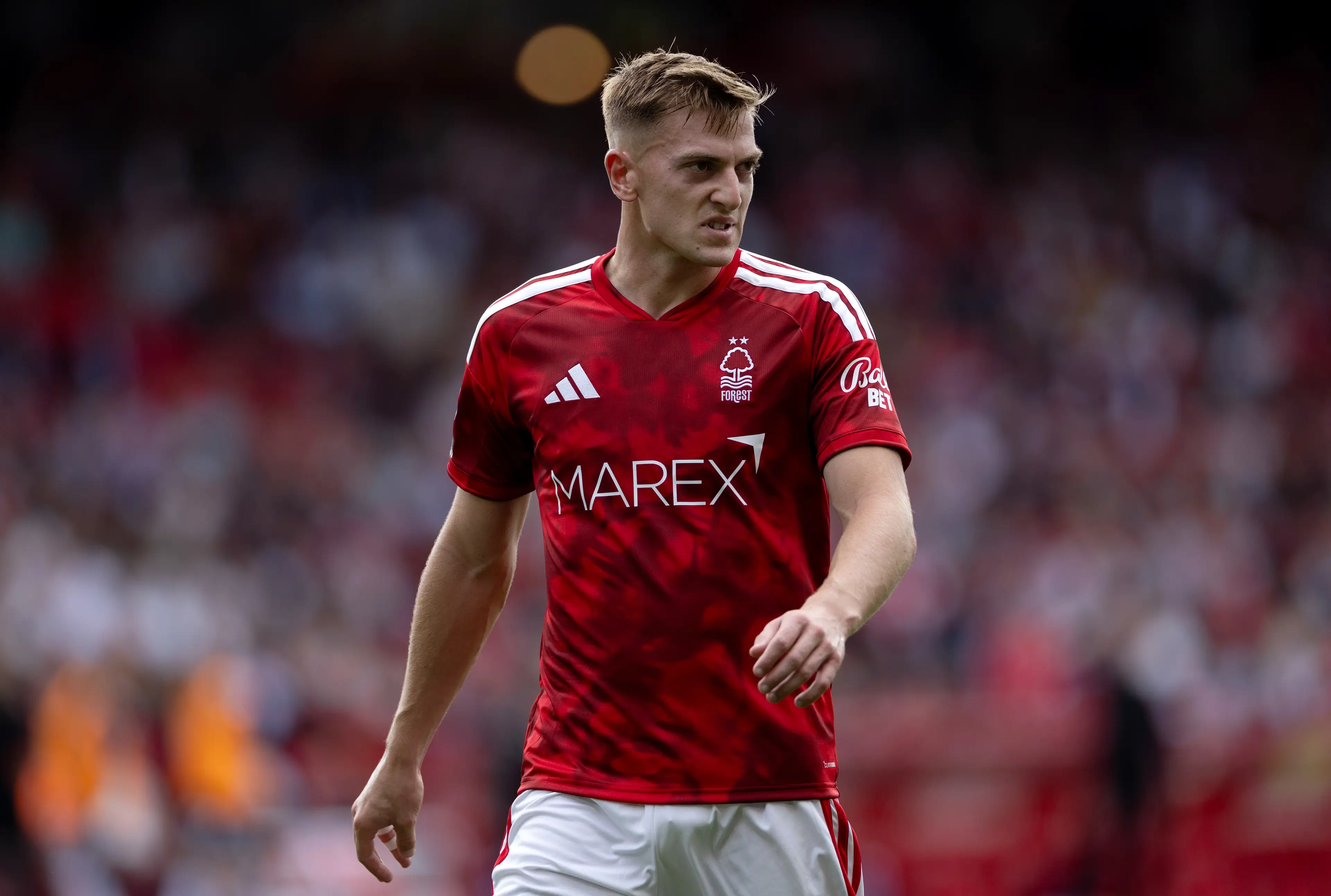 Liam Delap may be the perfect Joao Pedro replacement in FPL. (Image: Getty)