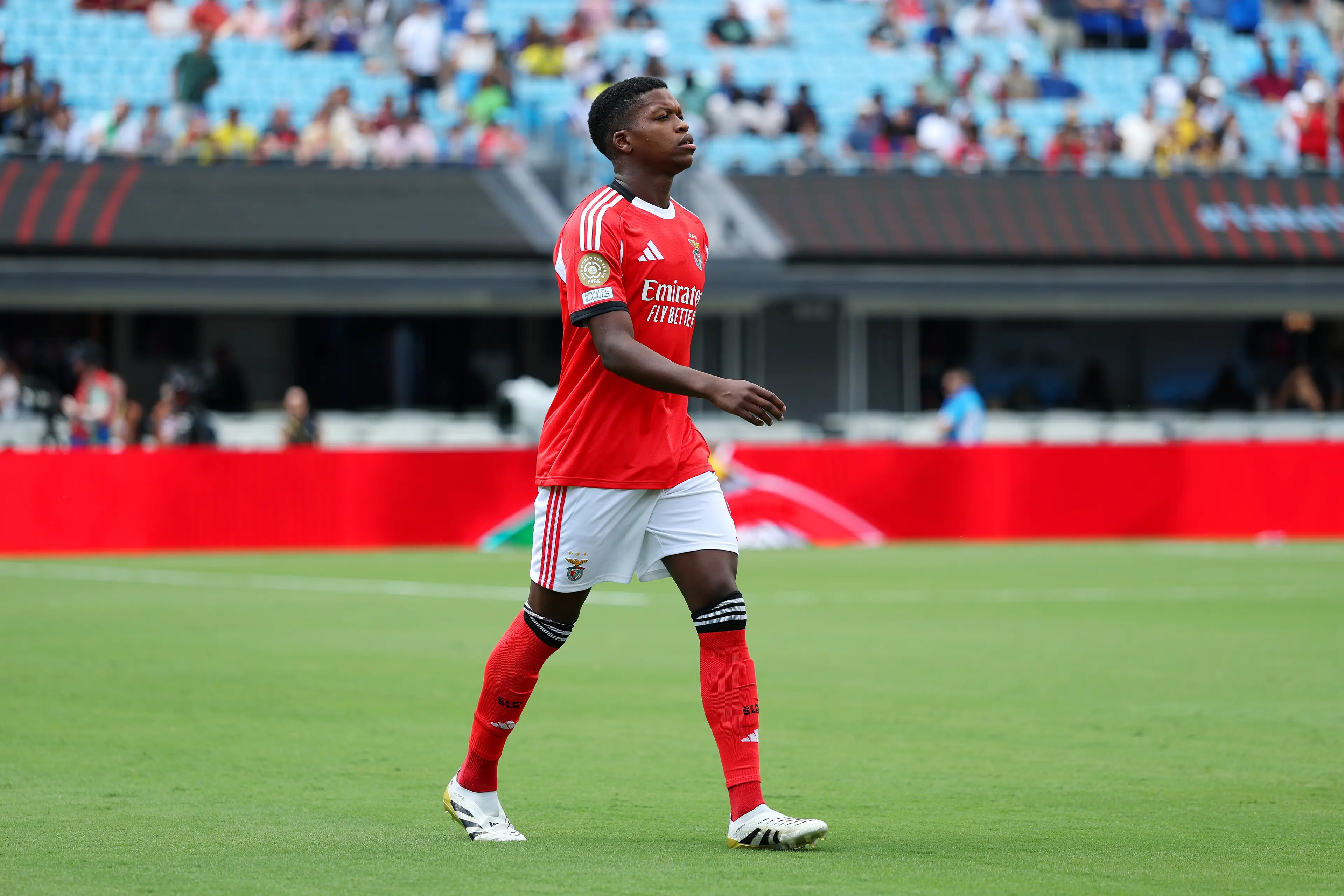 Benfica's Florentino Luis is a top target for Napoli. Image: Getty