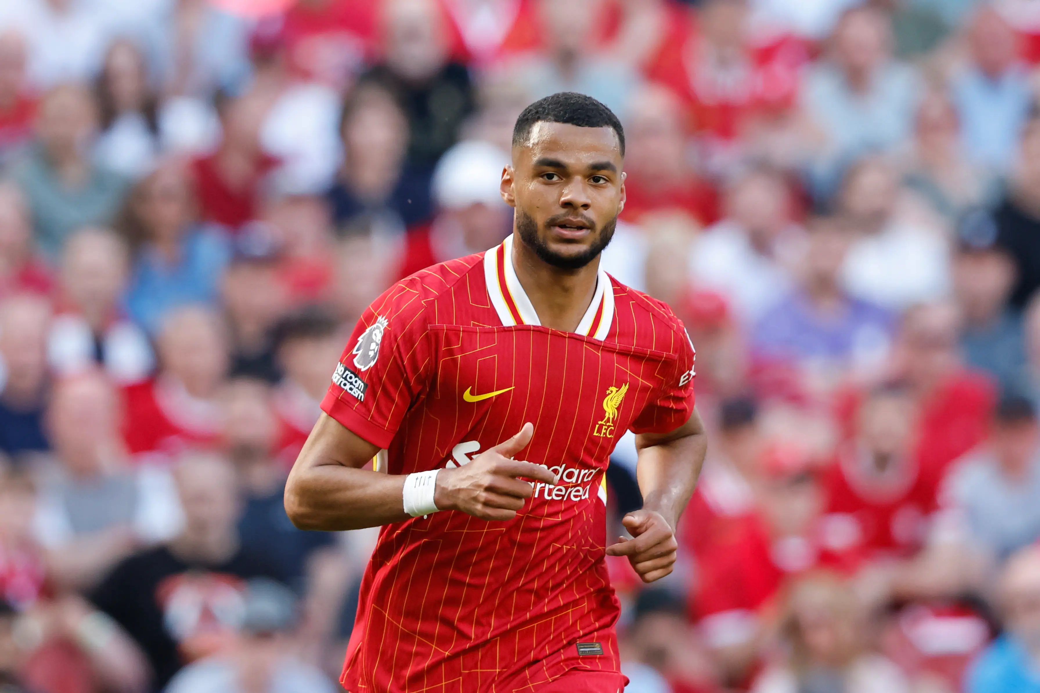 Cody Gakpo returned to form at the end of the season for Liverpool (Getty)