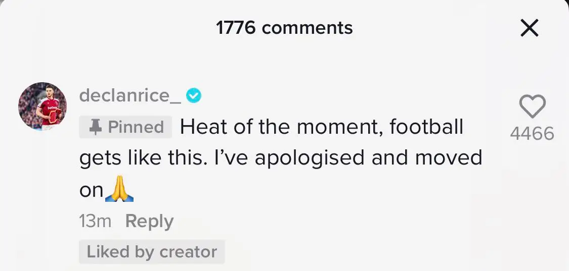 Image credit: TikTok