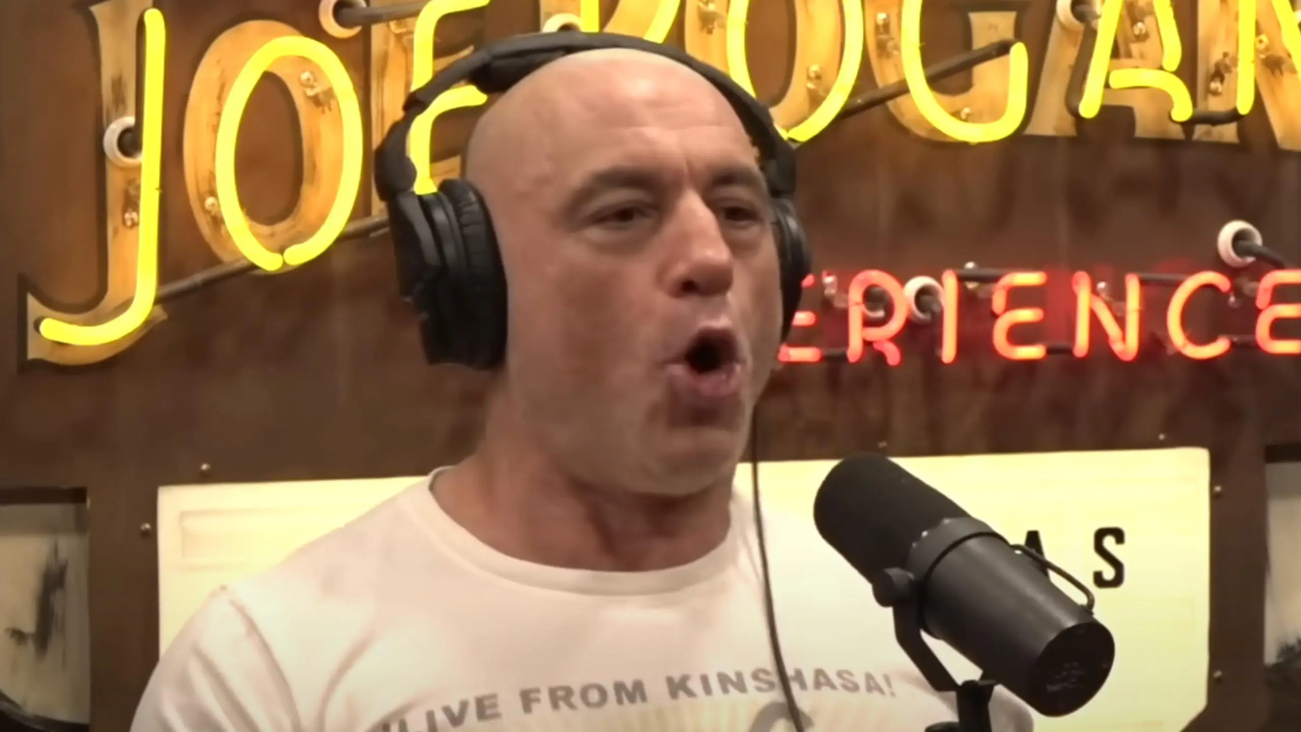 Joe Rogan Experience